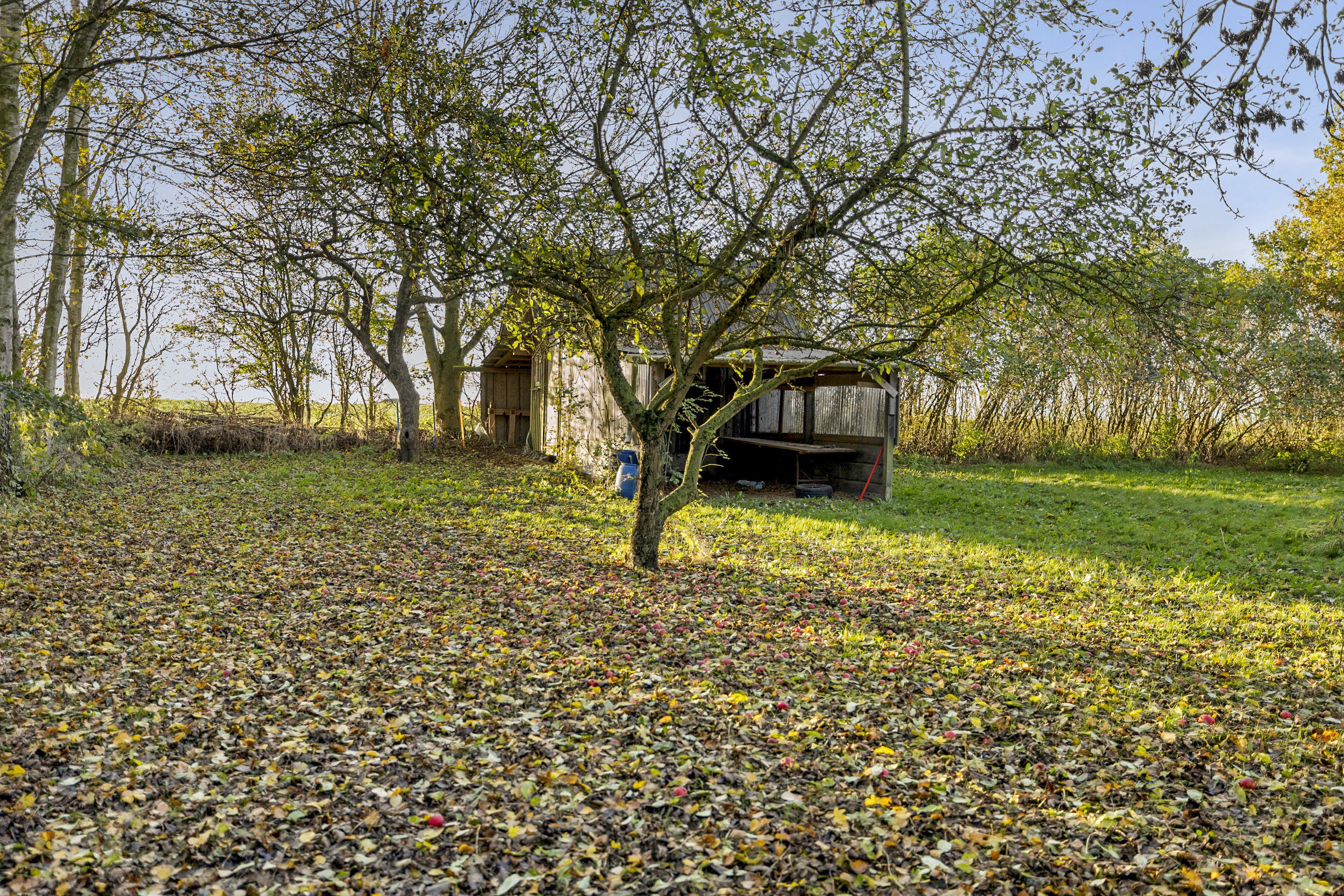 Fremhævet have billede i fuldskærmstilstand. Billede af Ormeslevvej 24, Ormeslev, 4241 Vemmelev