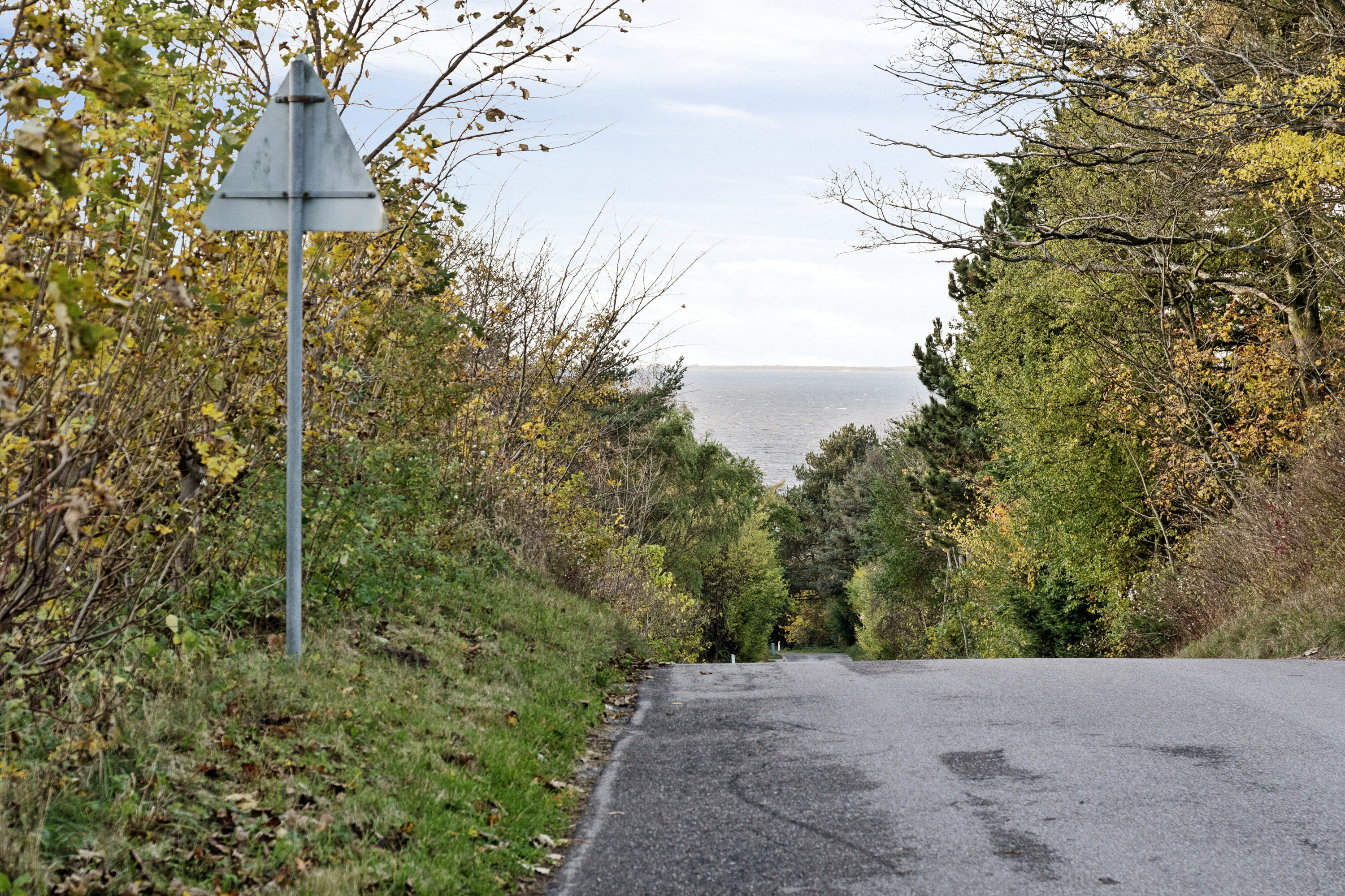 Fremhævet udendørs billede i fuldskærmstilstand. Billede af Kollevej 4, Veddinge Bk, 4540 Fårevejle