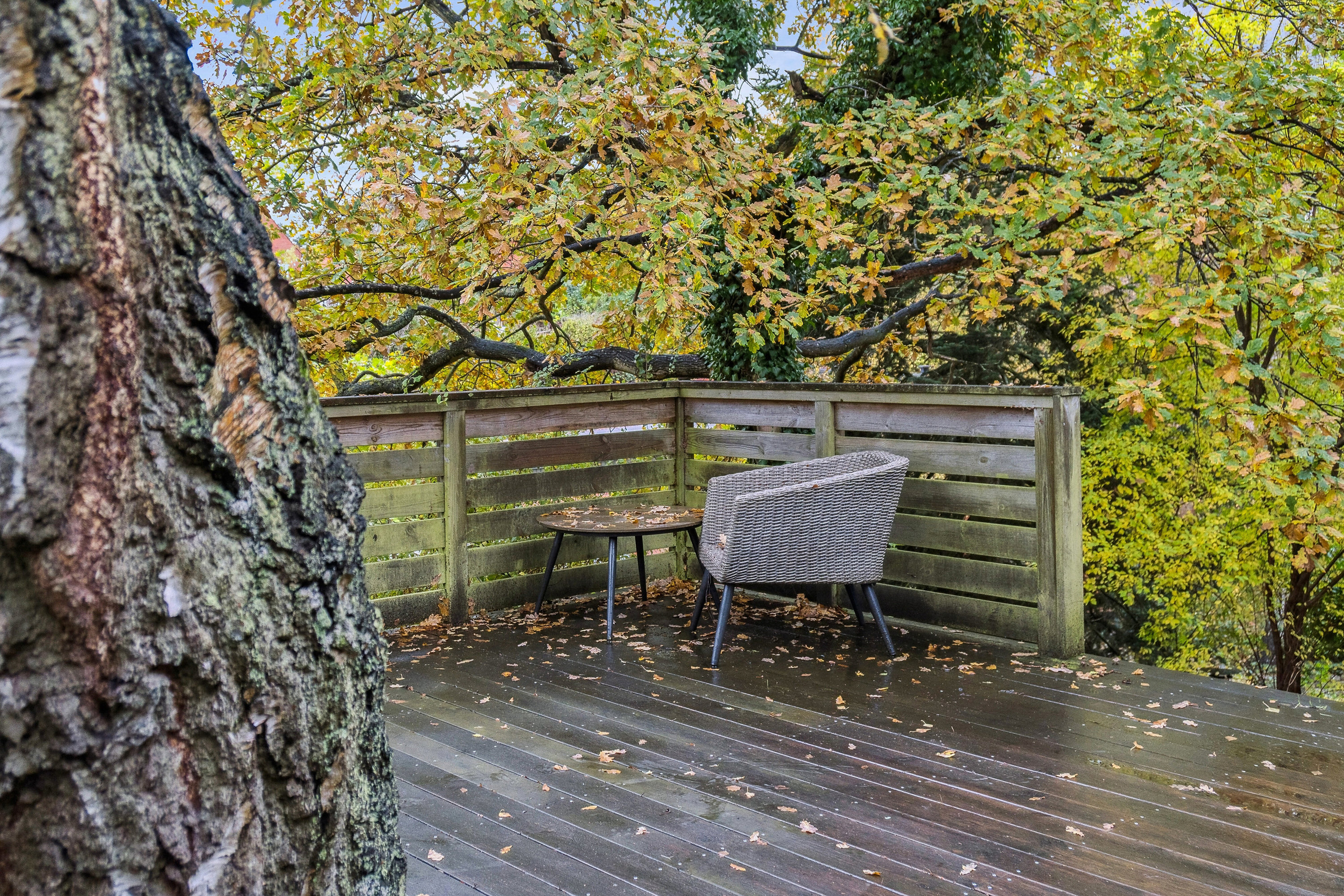 Fremhævet terrasse billede i fuldskærmstilstand. Billede af Bødkergårdsvej 19, 3300 Frederiksværk