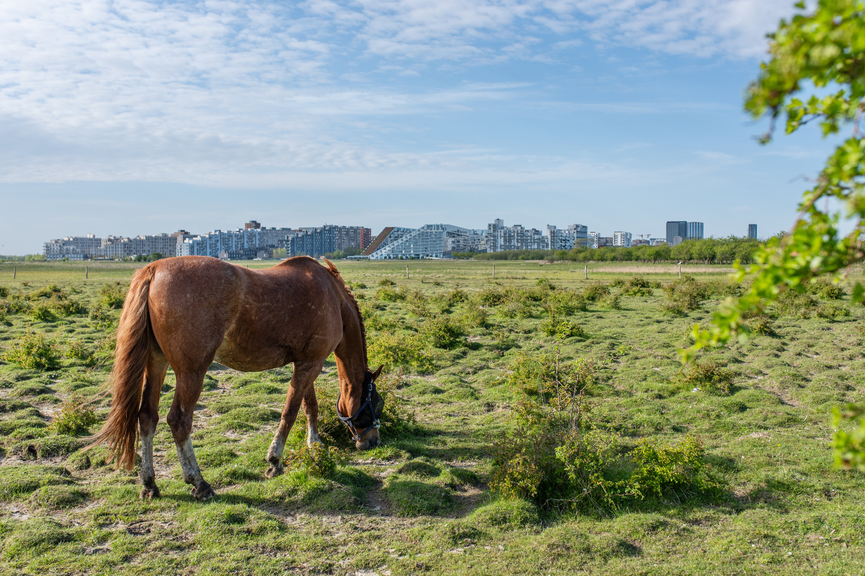 Fremhævet  billede i fuldskærmstilstand. Billede af Robert Jacobsens Vej 76, 3. 4., 2300 København S