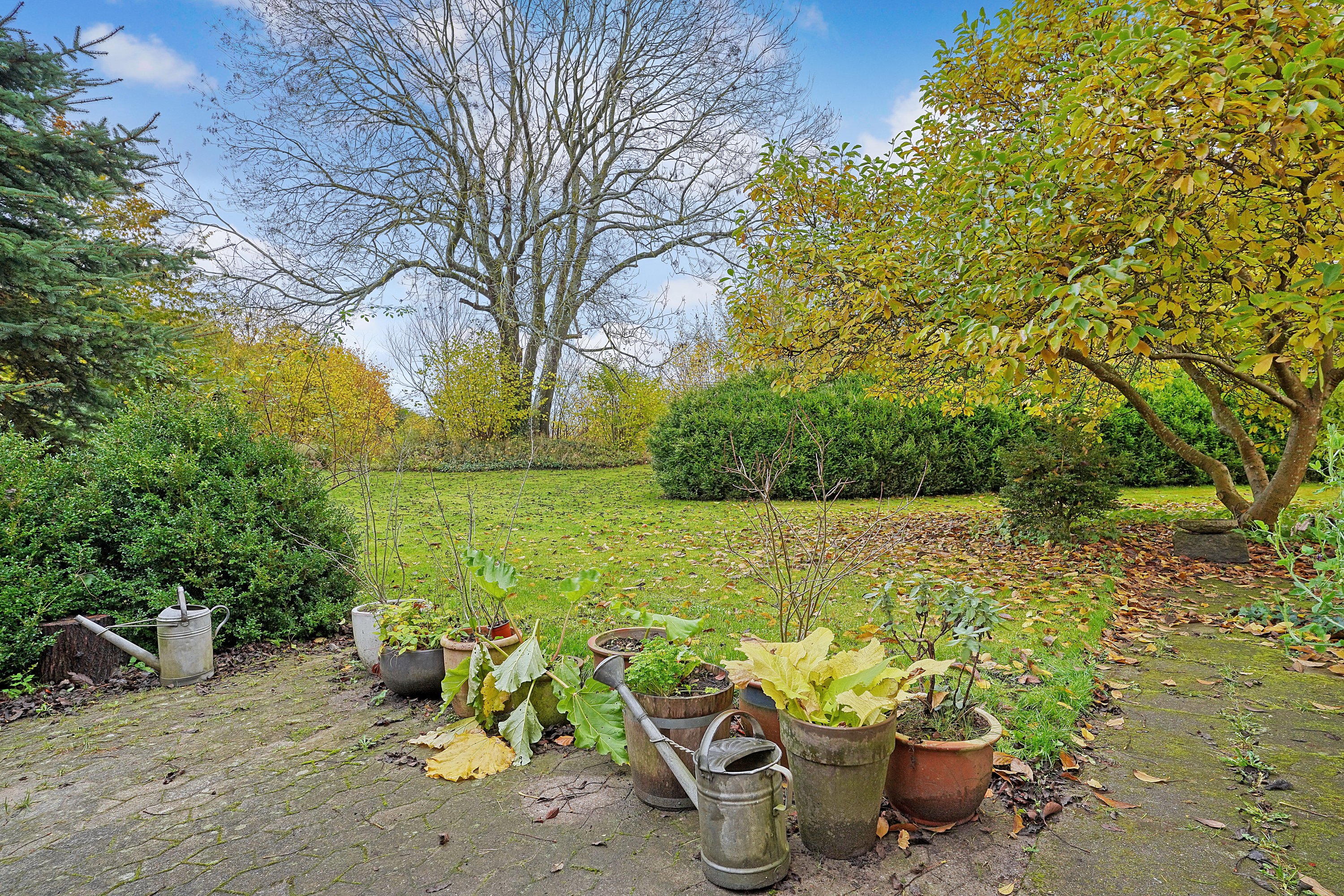 Fremhævet have billede i fuldskærmstilstand. Billede af Langerødvej 27B, Danstrup, 3480 Fredensborg