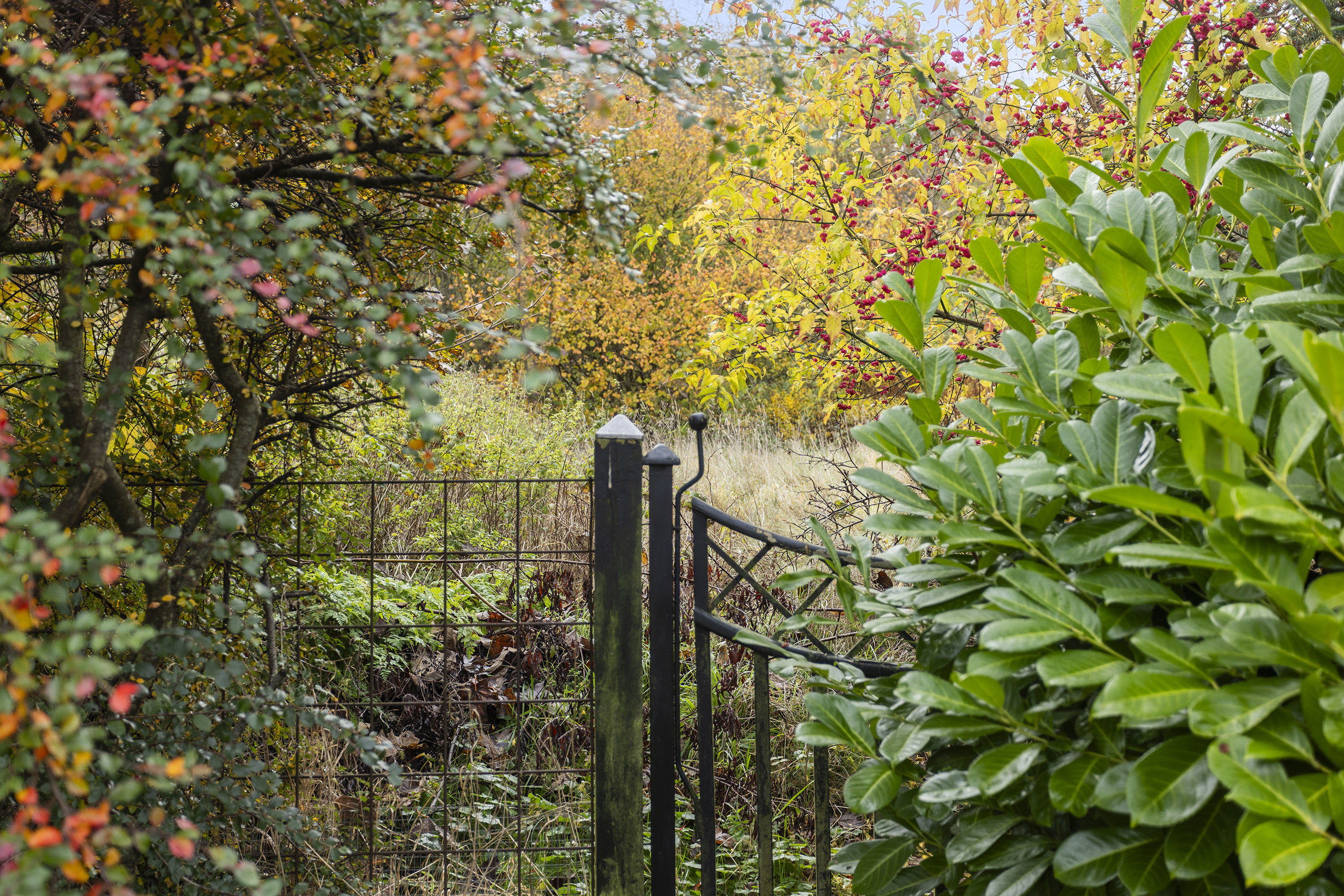 Fremhævet have billede i fuldskærmstilstand. Billede af Skovbrynet 16, 9900 Frederikshavn