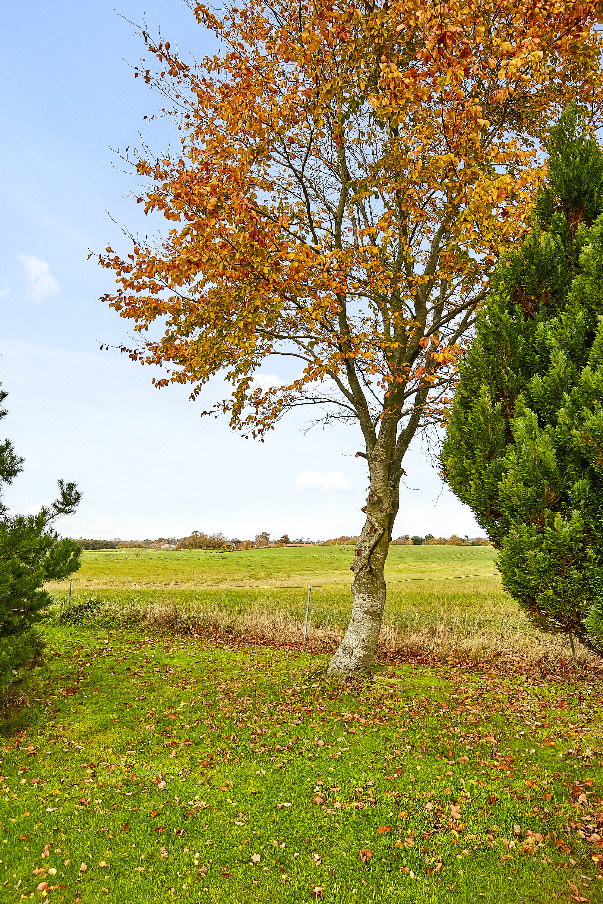 Fremhævet  billede i fuldskærmstilstand. Billede af Fruens Vej 10, Skovby, 8763 Rask Mølle