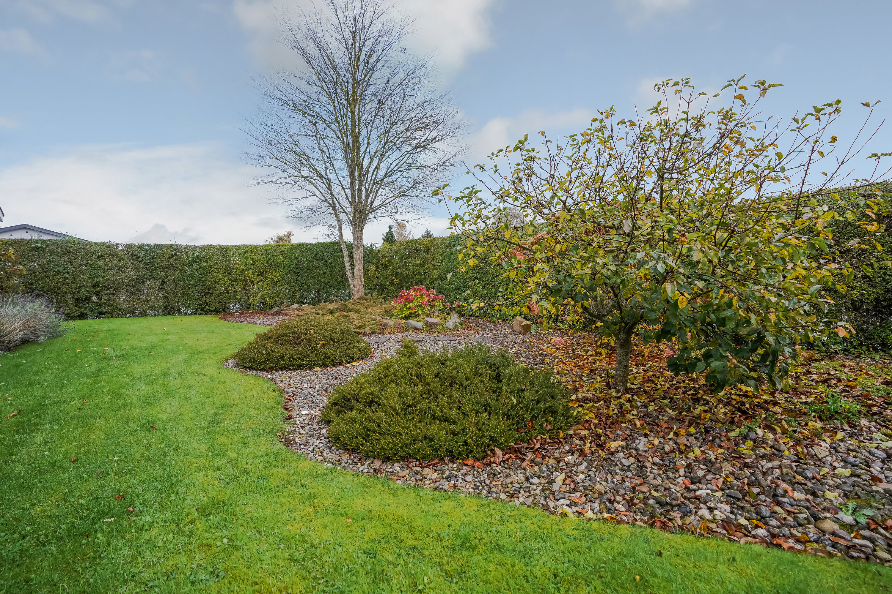 Fremhævet have billede i fuldskærmstilstand. Billede af Blåbærvej 95, Hjallese, 5260 Odense S