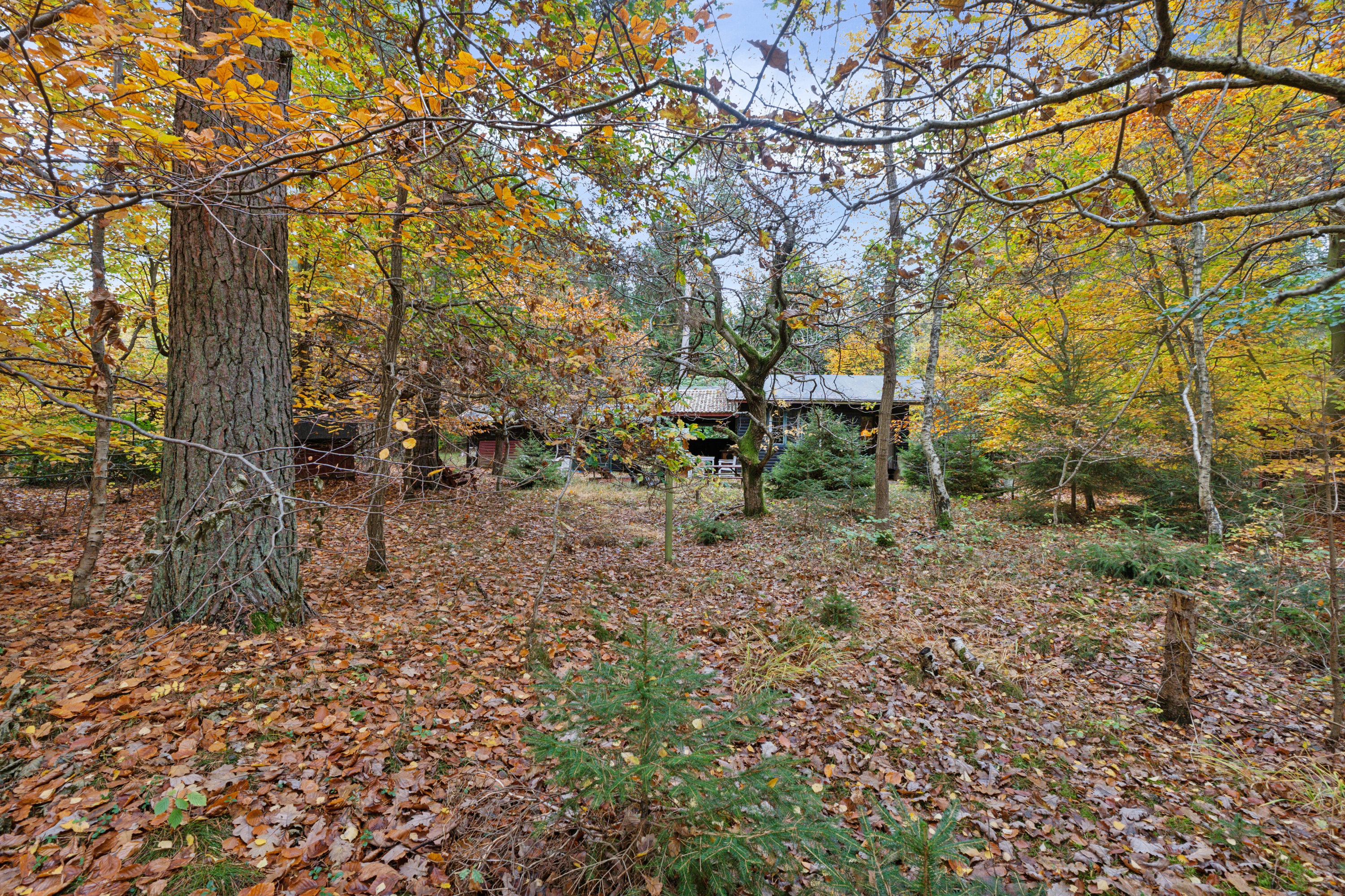 Fremhævet grunden billede i fuldskærmstilstand. Billede af Spættevej 2, Sandet, 3300 Frederiksværk