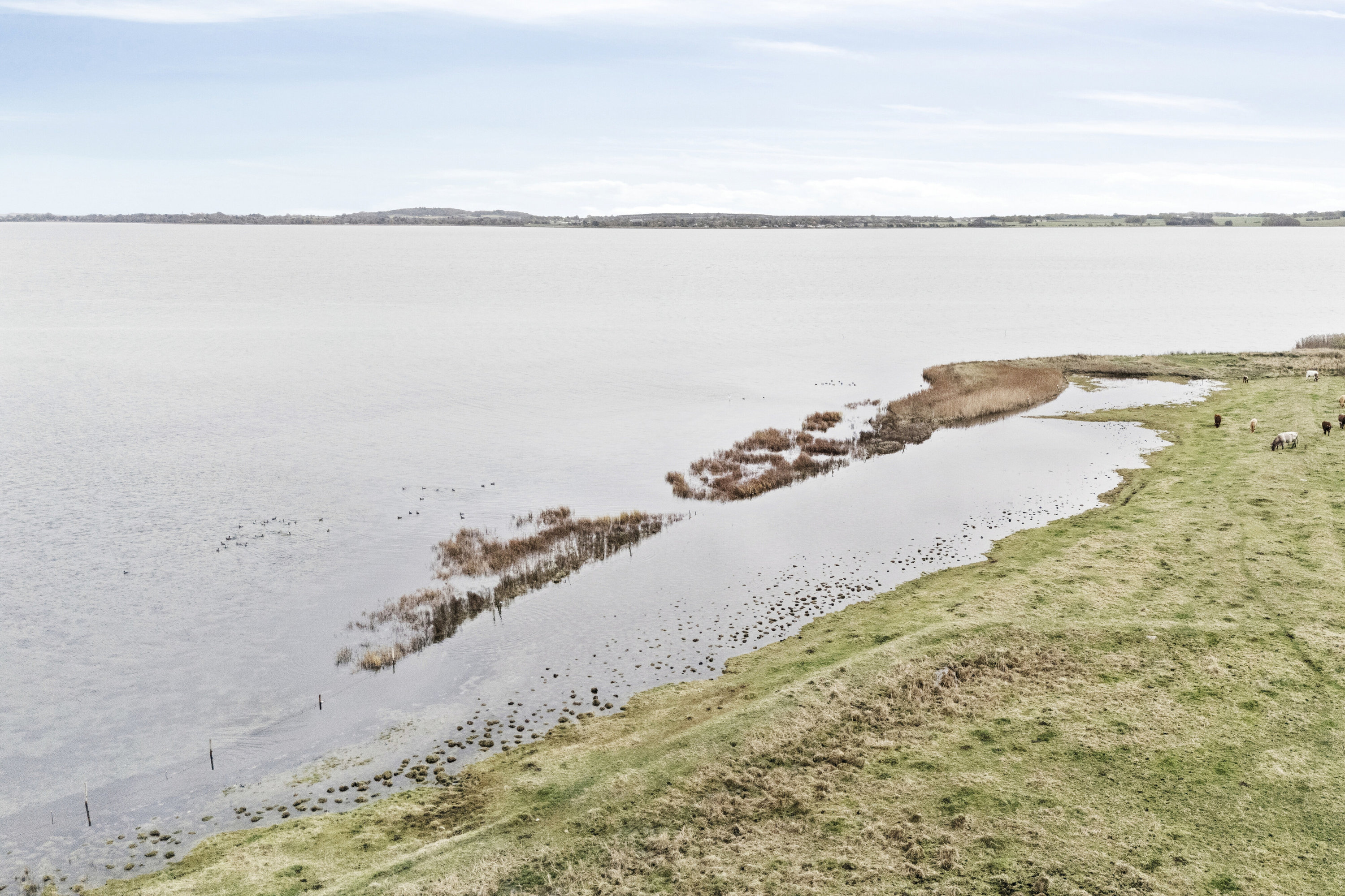 Fremhævet udsigt billede i fuldskærmstilstand. Billede af Ærtebjergvej 9, 4571 Grevinge