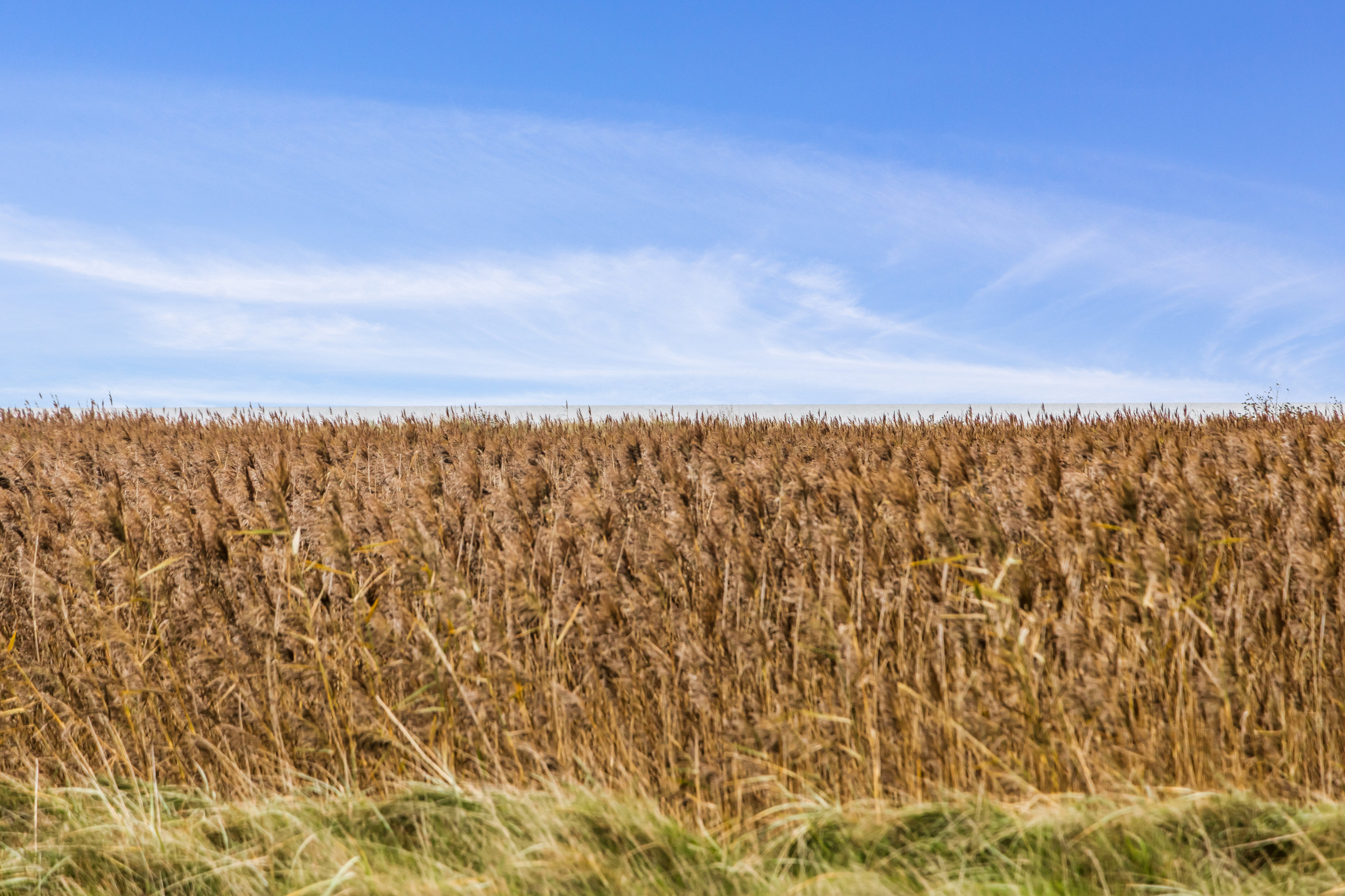 Fremhævet udsigt billede i fuldskærmstilstand. Billede af Søndergade 97, 9370 Hals