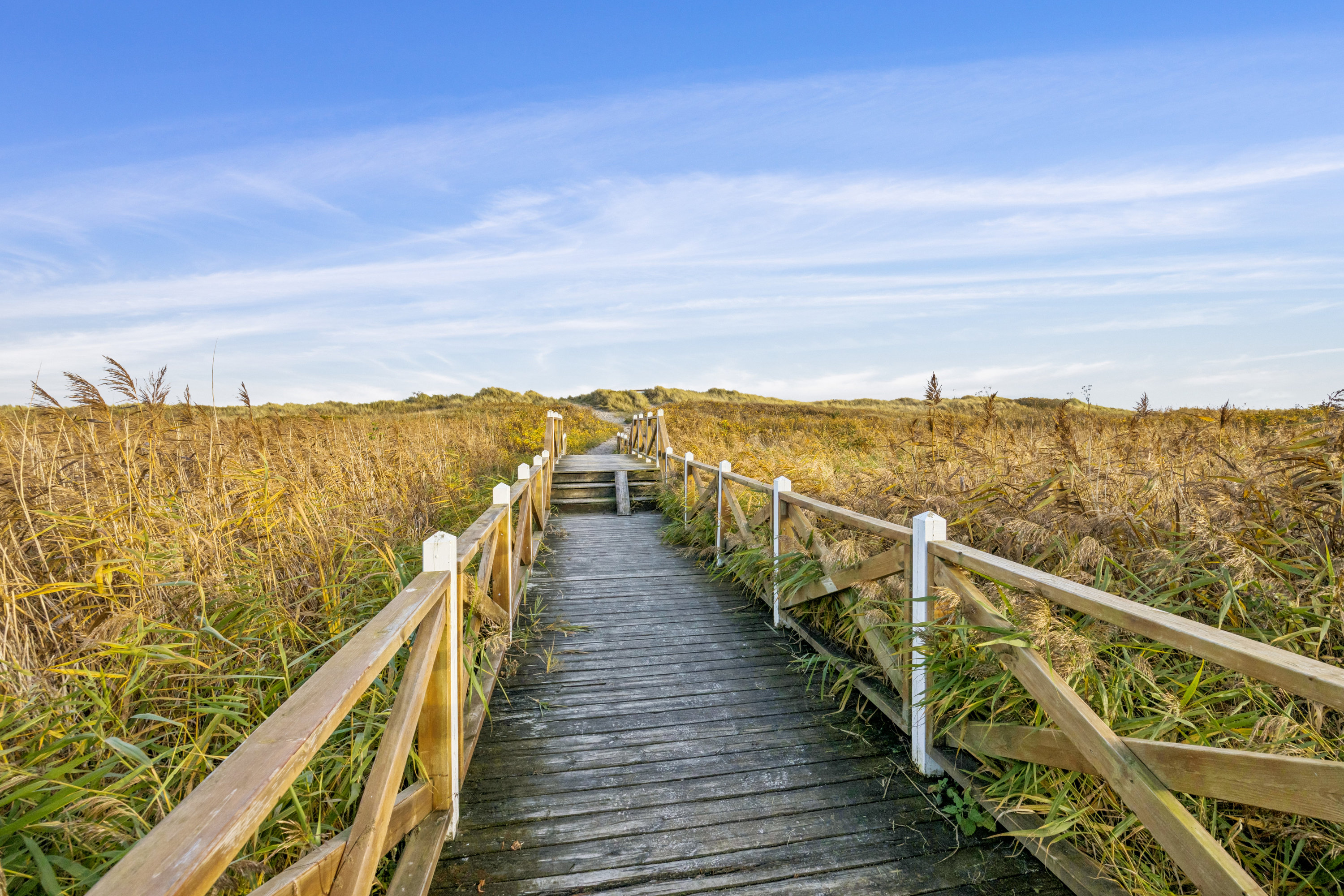 Fremhævet stald billede i fuldskærmstilstand. Billede af Portlandsvej 89, st.., 9370 Hals