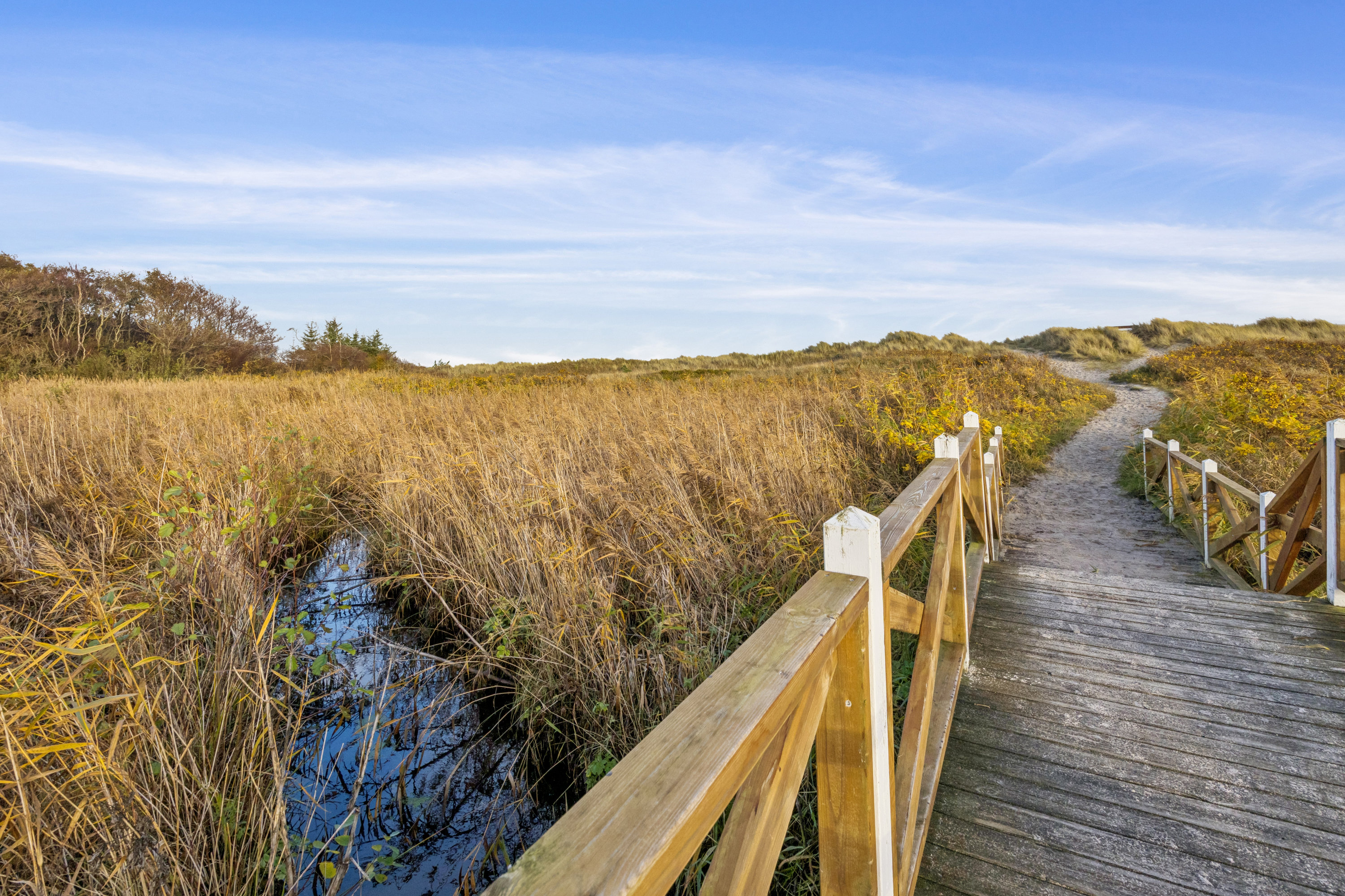 Fremhævet område billede i fuldskærmstilstand. Billede af Portlandsvej 89, st.., 9370 Hals