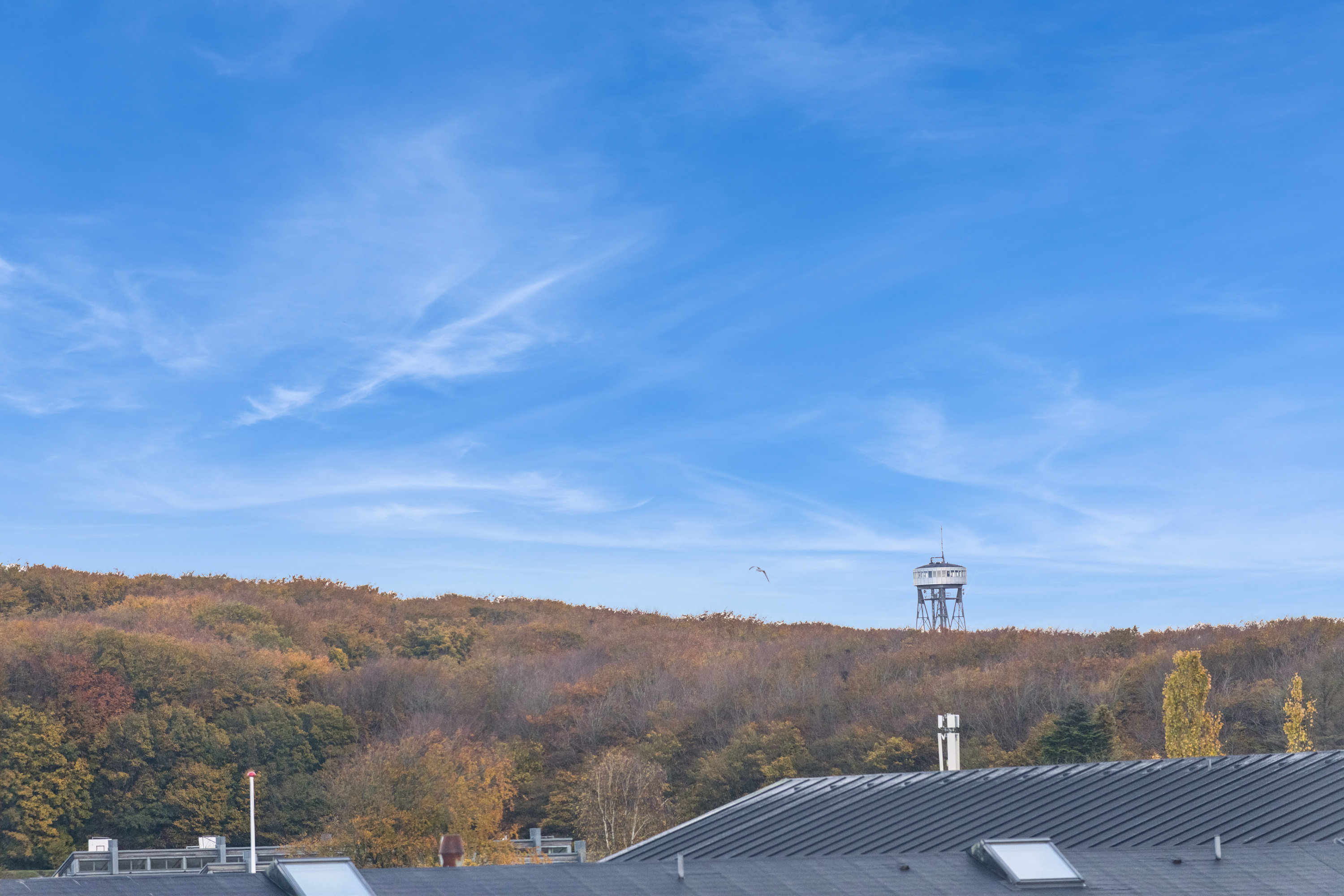 Fremhævet udsigt billede i fuldskærmstilstand. Billede af Blegdalsparken 33, 3. th., 9000 Aalborg