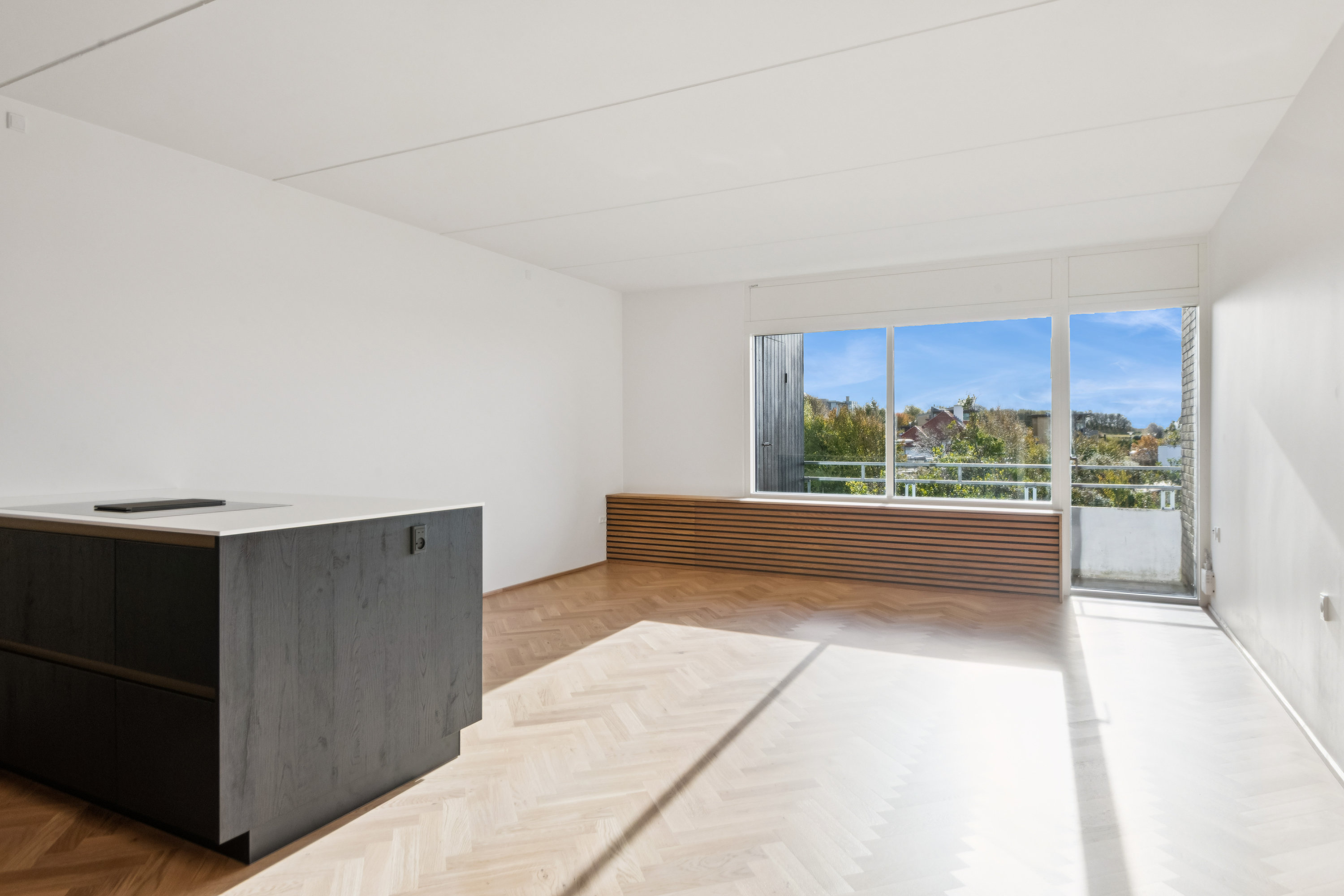 Fremhævet stue billede i fuldskærmstilstand. Billede af Blegdalsparken 33, 3. th., 9000 Aalborg