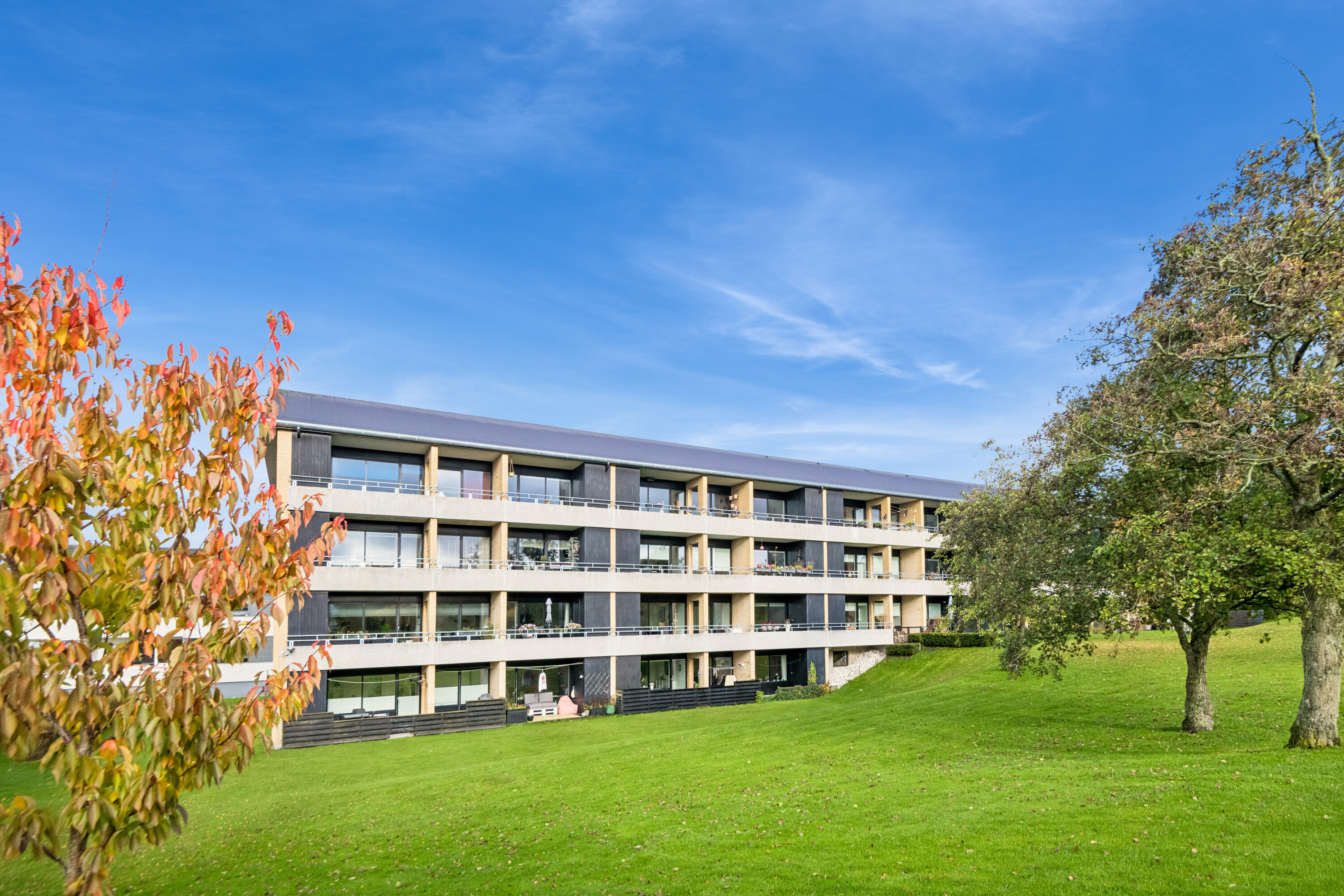 Fremhævet andet billede i fuldskærmstilstand. Billede af Blegdalsparken 33, 3. th., 9000 Aalborg