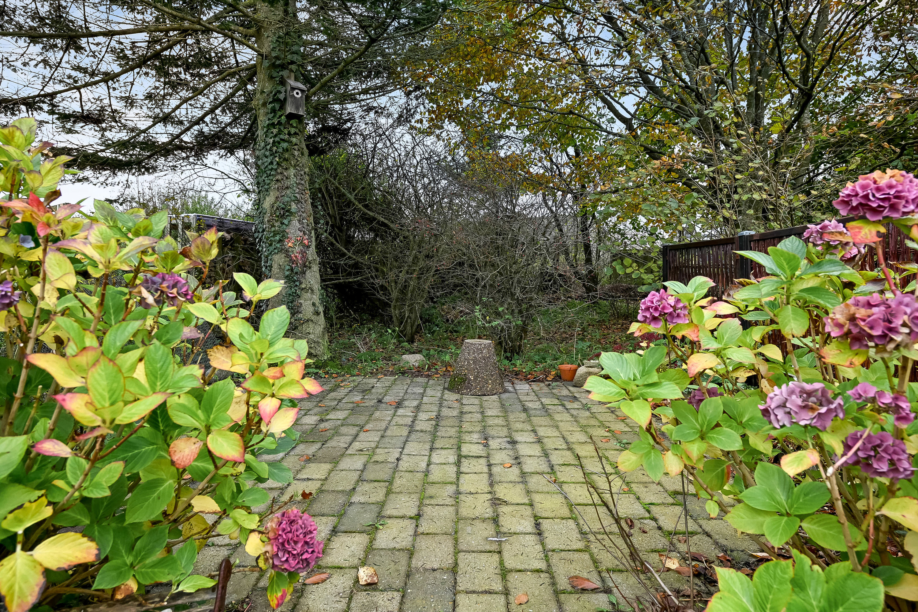 Fremhævet have billede i fuldskærmstilstand. Billede af Lyngvej 3, Toftum Bjerge, 7600 Struer