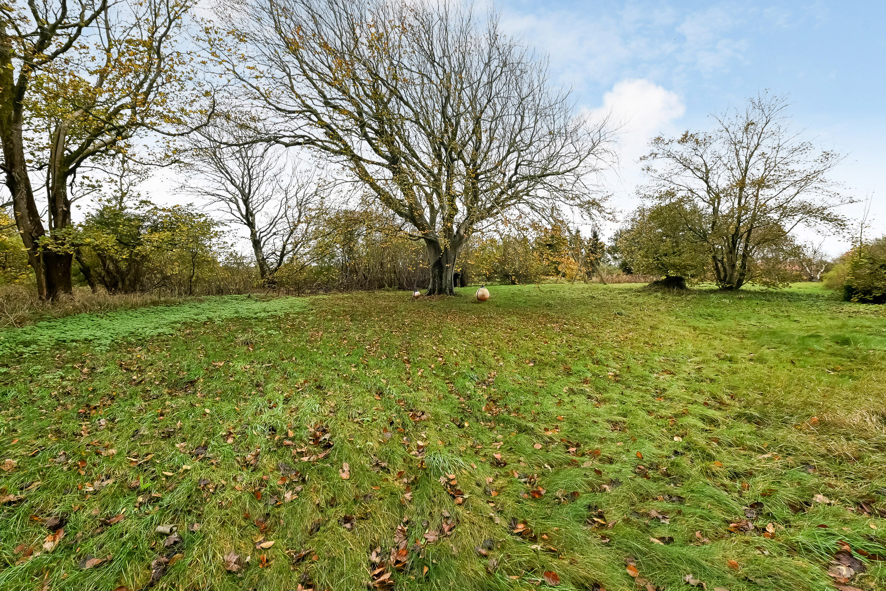 Fremhævet have billede i fuldskærmstilstand. Billede af Mælkevejen 1, Vedersø, 6990 Ulfborg