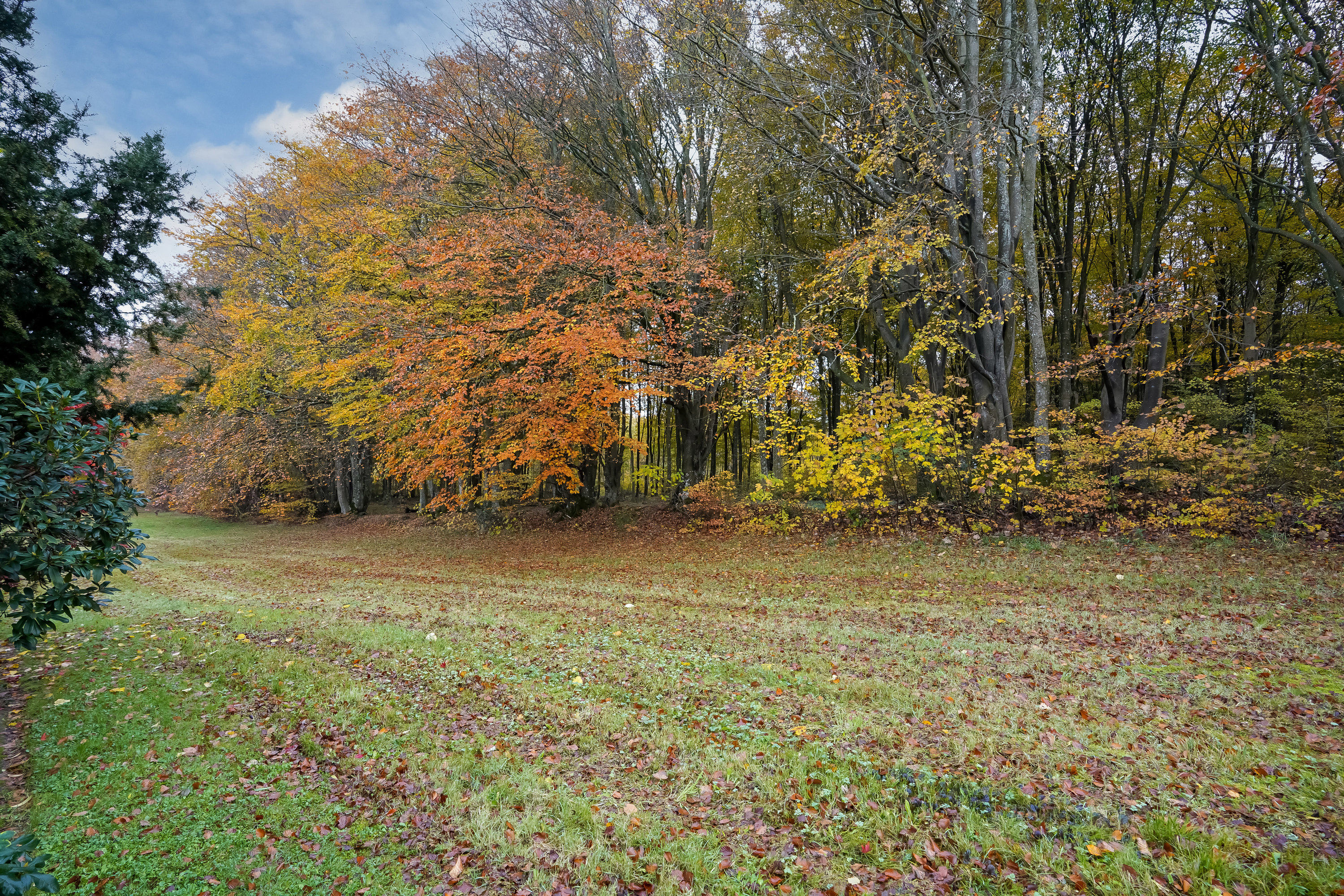 Fremhævet have billede i fuldskærmstilstand. Billede af Lindealle 21, 8740 Brædstrup