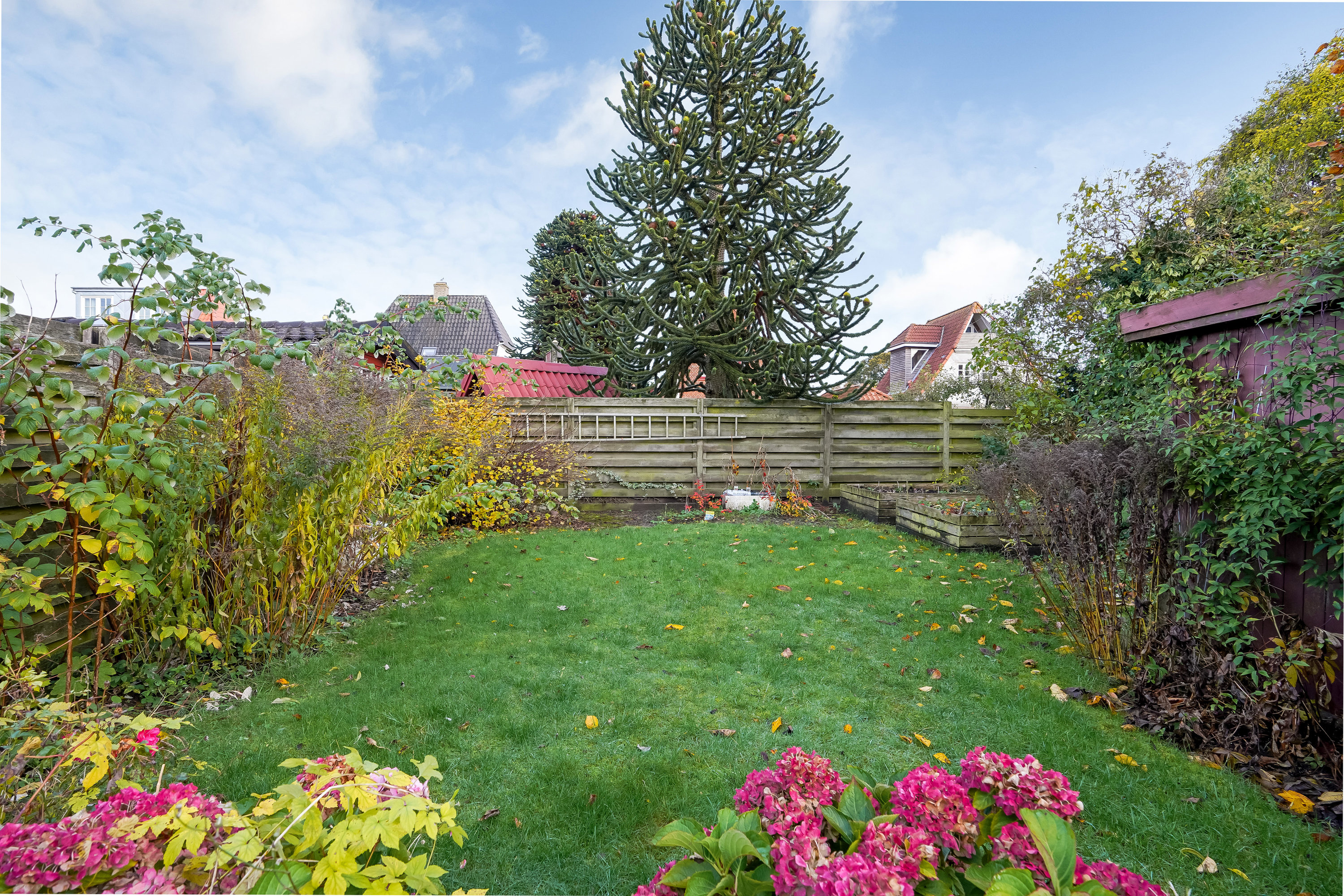 Fremhævet have billede i fuldskærmstilstand. Billede af Holmehusvej 41, 5000 Odense C
