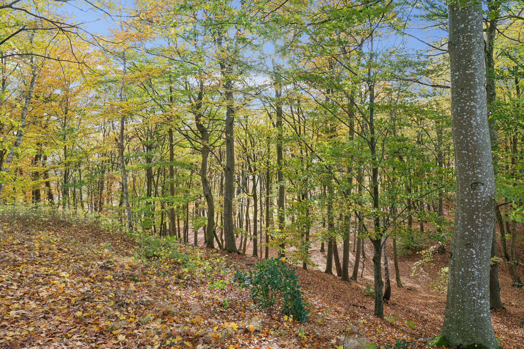 Fremhævet andet billede i fuldskærmstilstand. Billede af Selandersvej 90, 8920 Randers NV