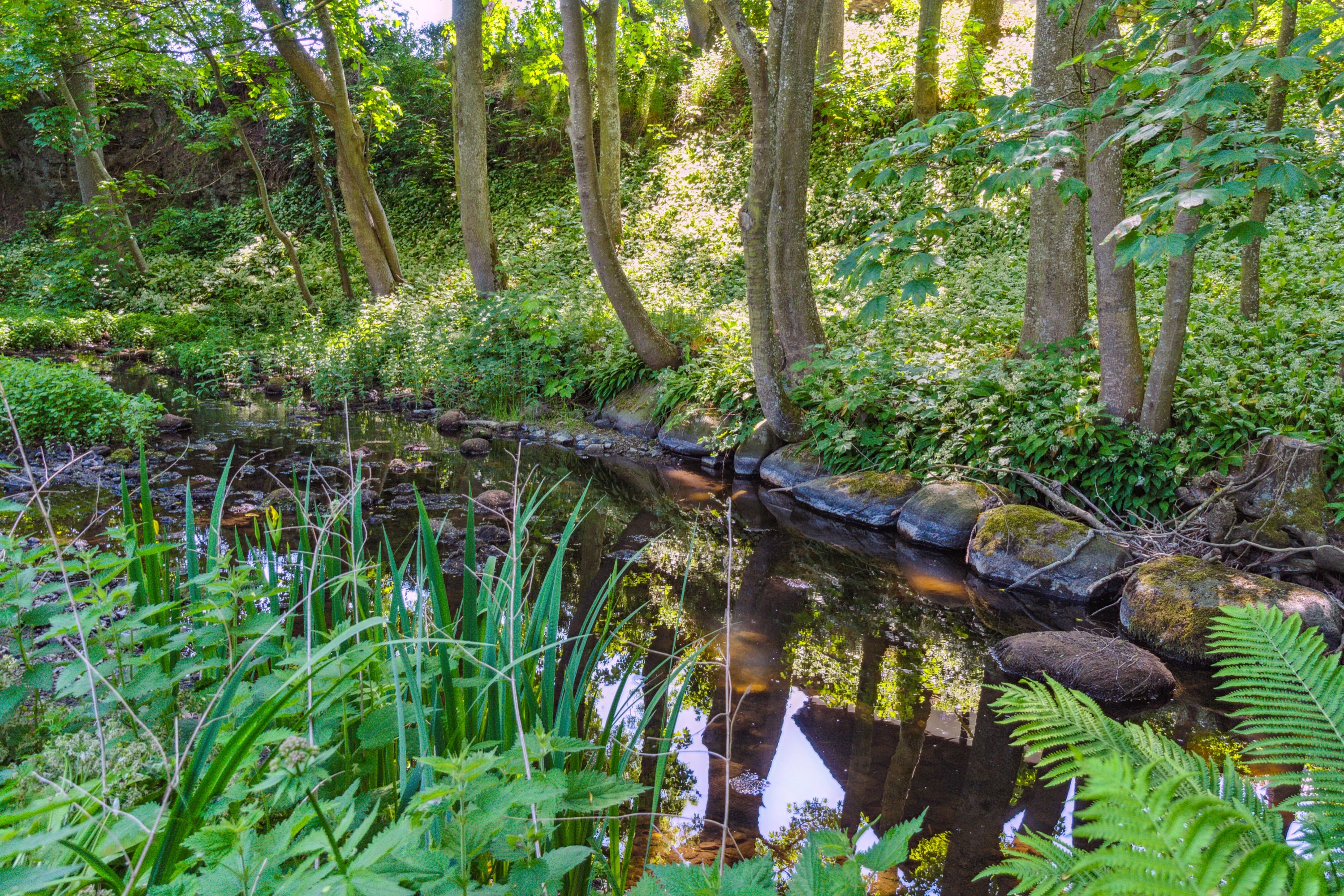 Fremhævet udendørs billede i fuldskærmstilstand. Billede af Kalbyvejen 30, 3720 Aakirkeby