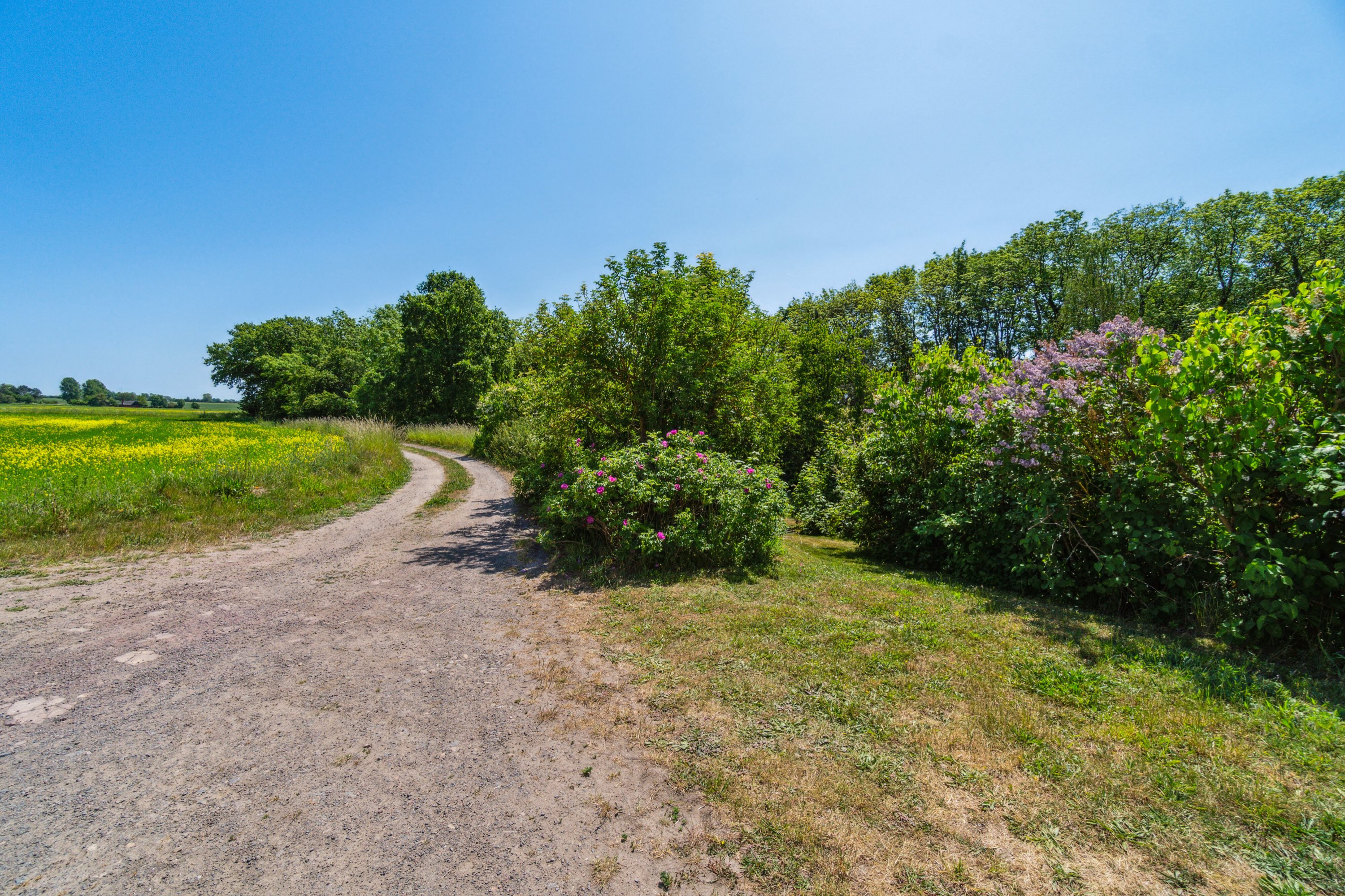 Fremhævet udendørs billede i fuldskærmstilstand. Billede af Kalbyvejen 30, 3720 Aakirkeby