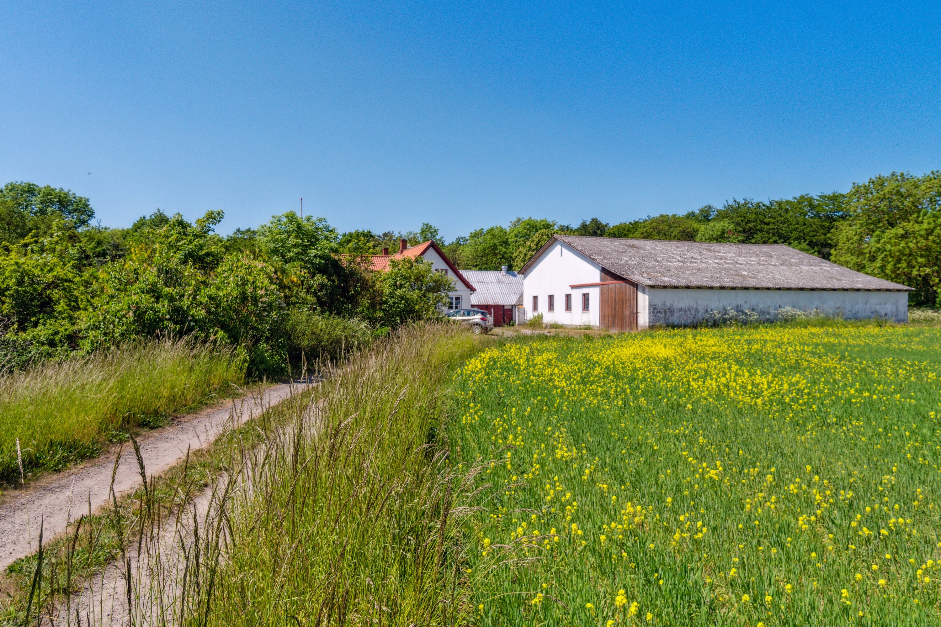 Fremhævet set fra vejen billede i fuldskærmstilstand. Billede af Kalbyvejen 30, 3720 Aakirkeby