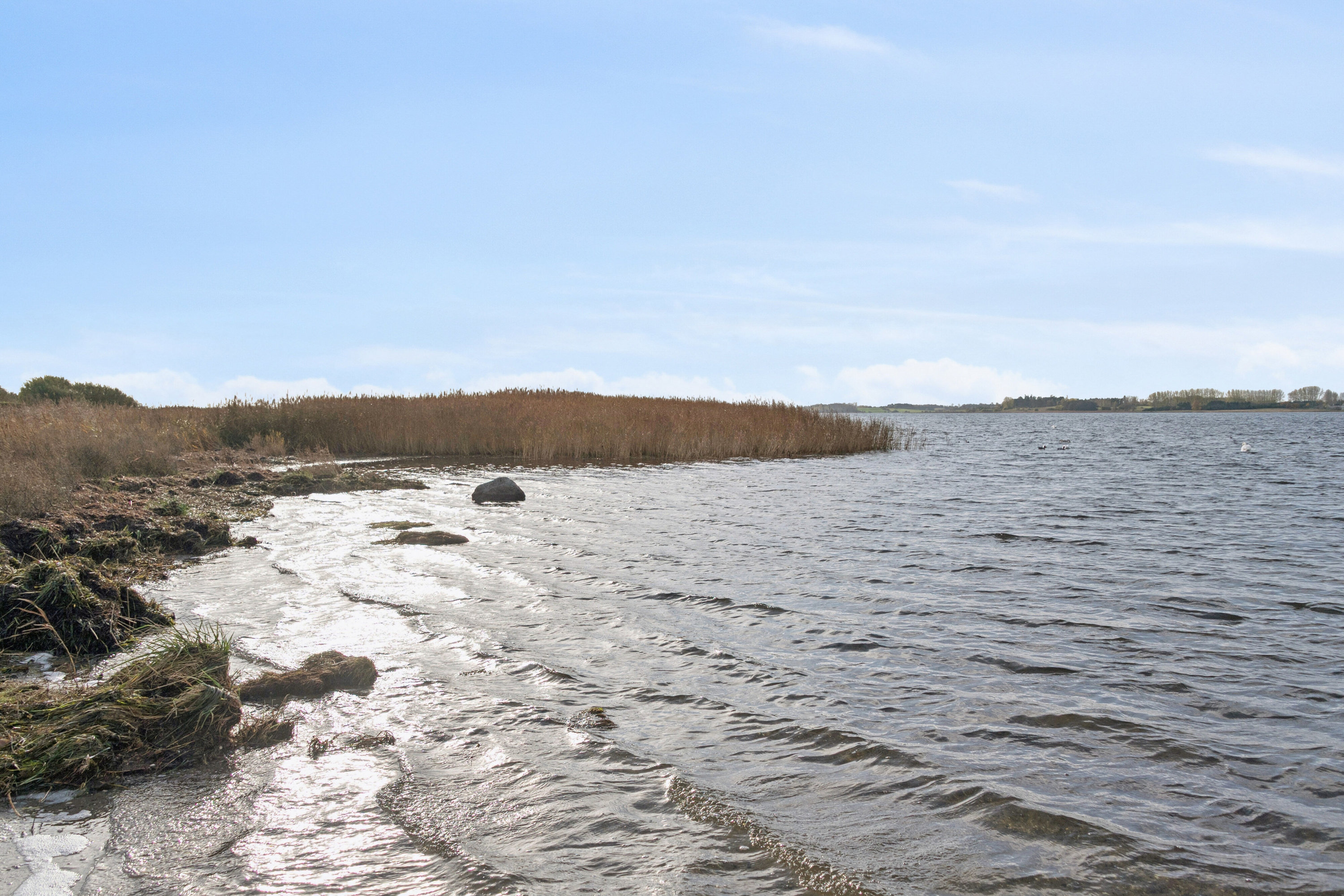 Fremhævet omgivelser billede i fuldskærmstilstand. Billede af Svanevænget 23B, 4040 Jyllinge