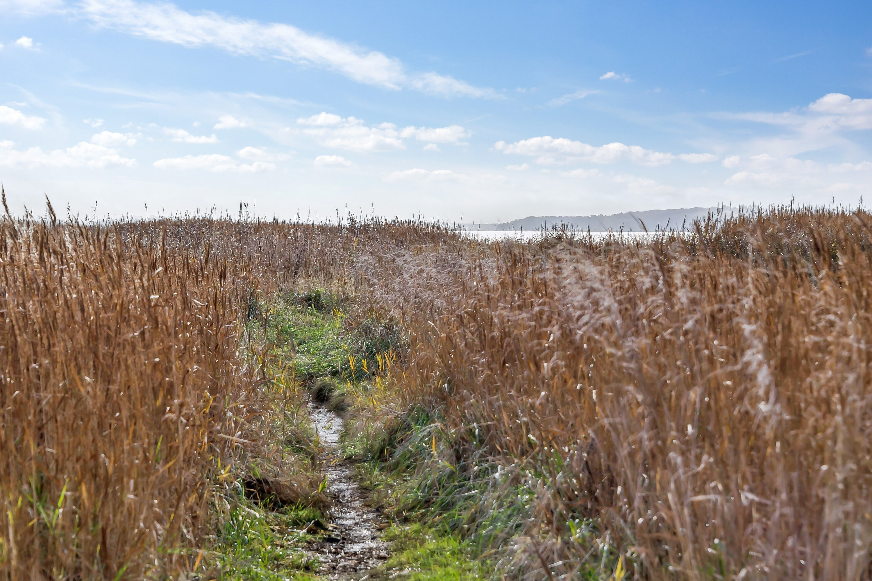 Fremhævet udendørs billede i fuldskærmstilstand. Billede af Svanevænget 23B, 4040 Jyllinge