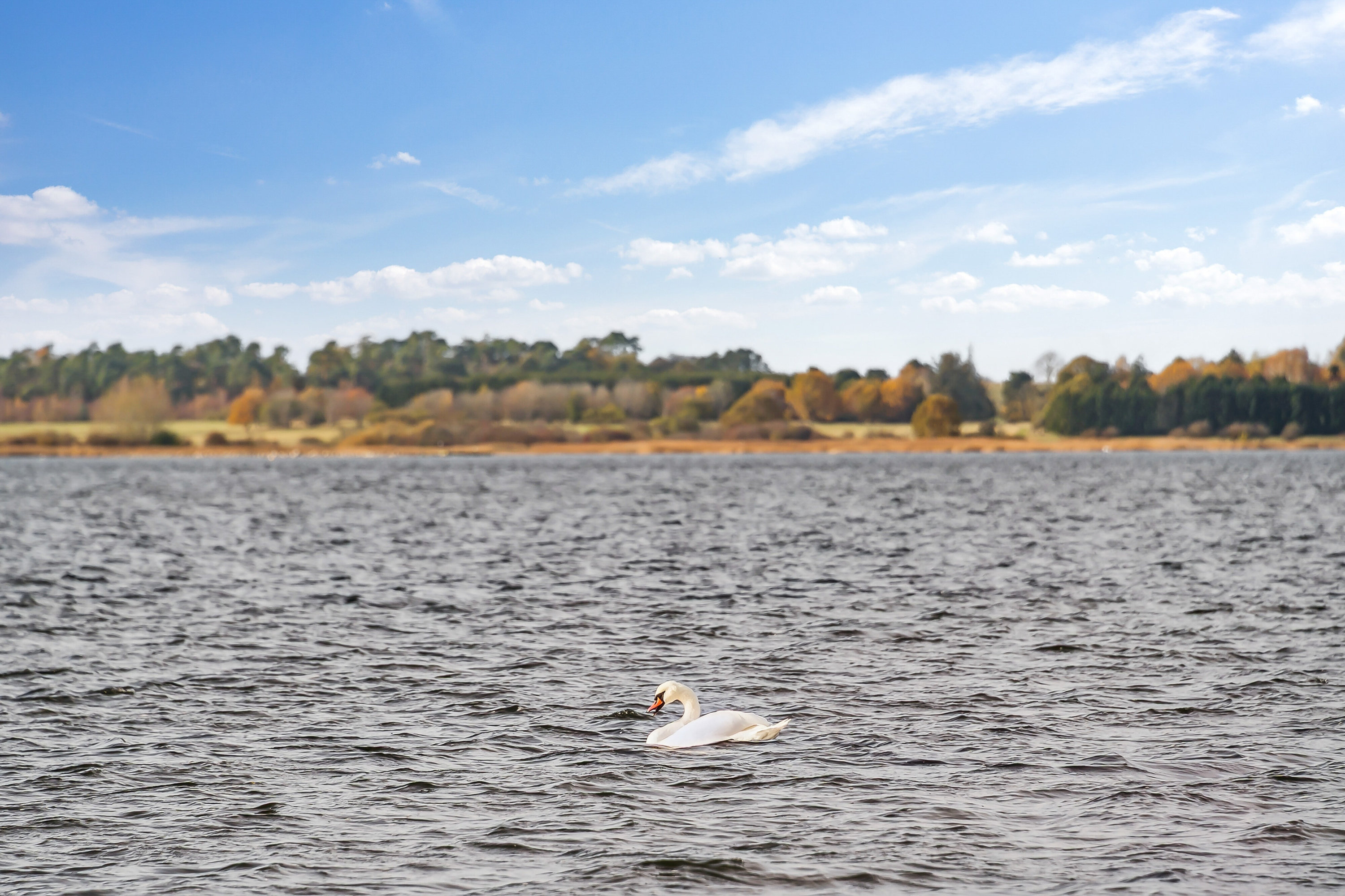 Fremhævet udendørs billede i fuldskærmstilstand. Billede af Svanevænget 23B, 4040 Jyllinge