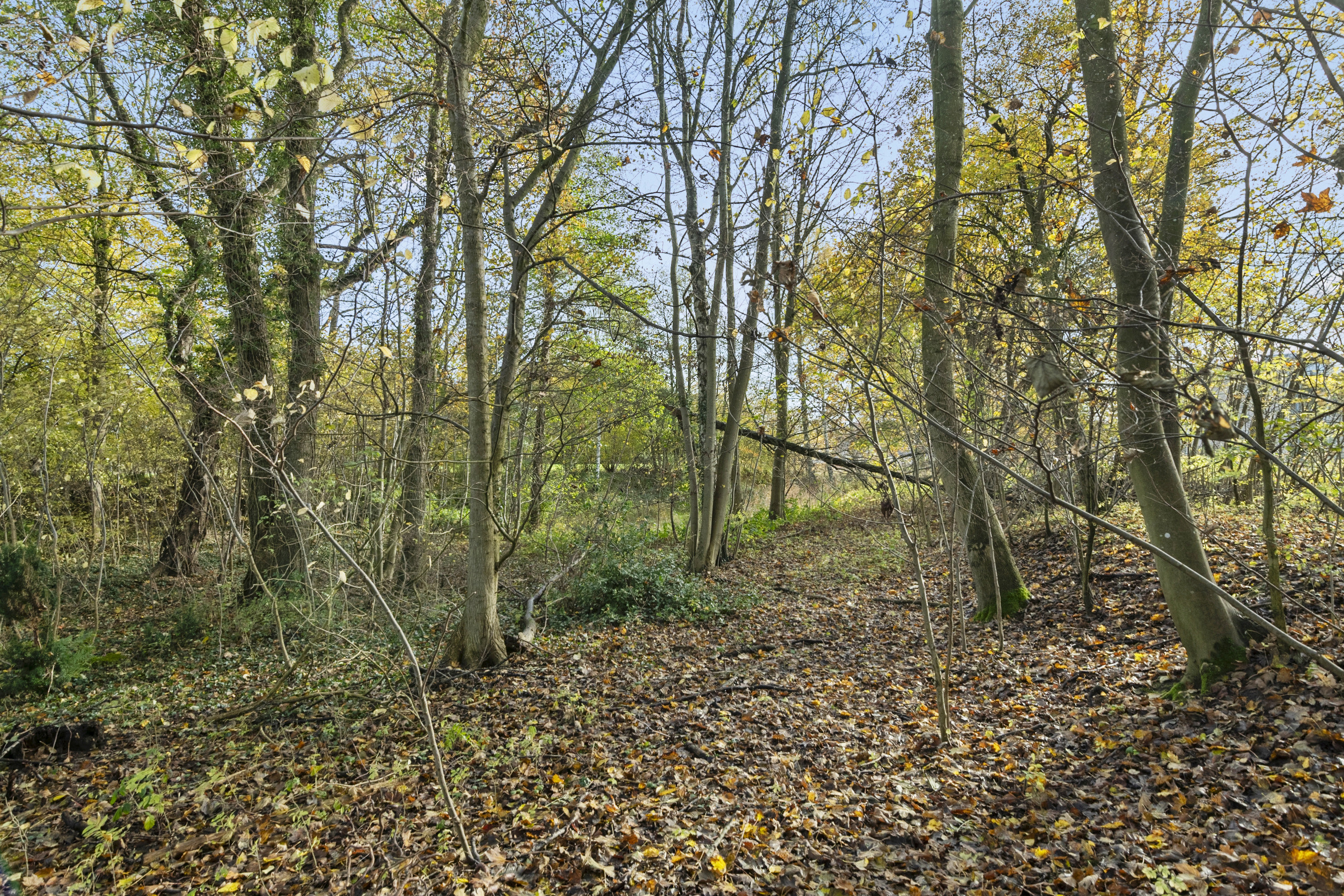 Fremhævet ejendommen billede i fuldskærmstilstand. Billede af Christianslund 100D, 8300 Odder