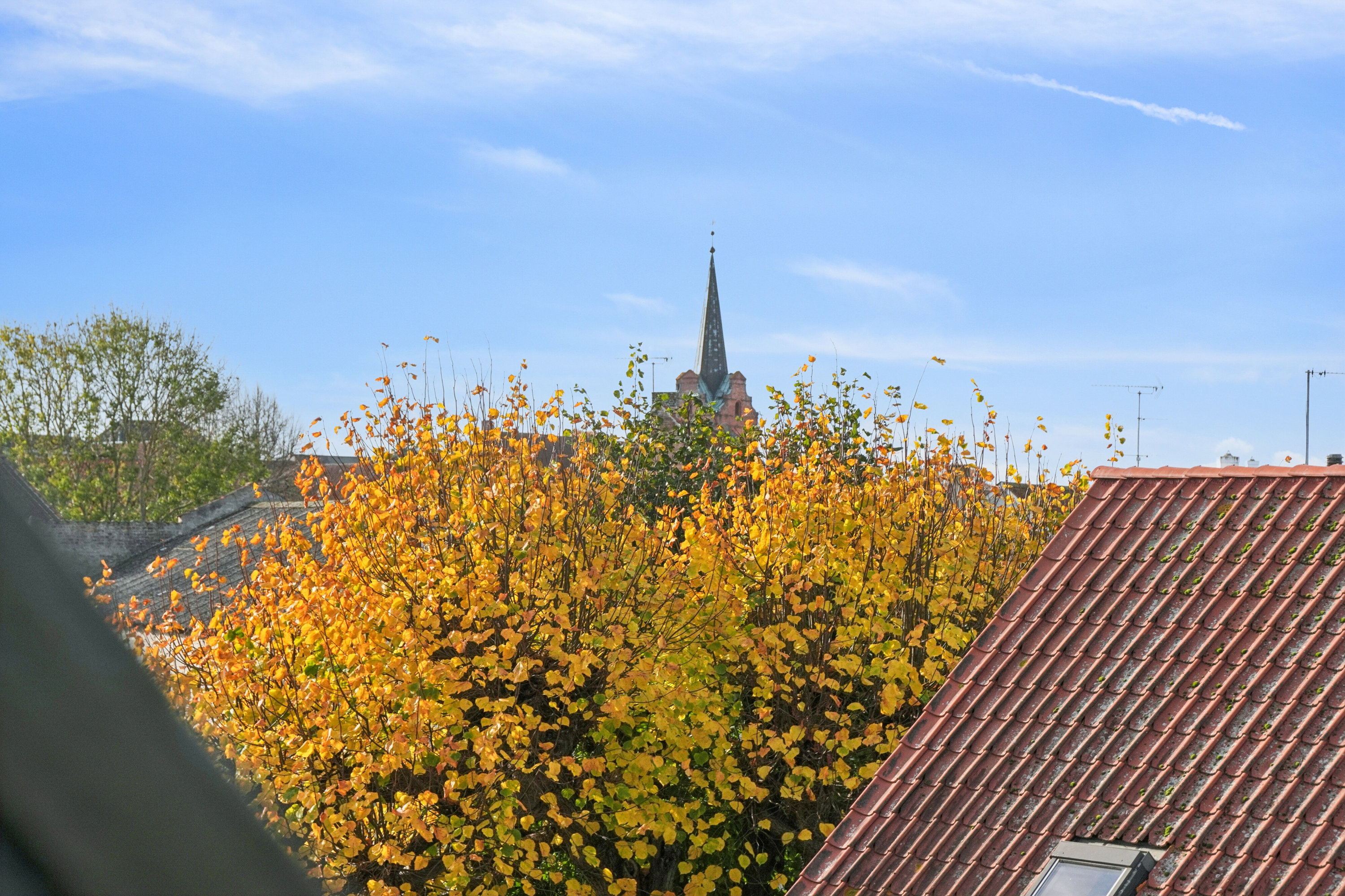 Fremhævet udsigt billede i fuldskærmstilstand. Billede af Nørreport 16, 1., 5900 Rudkøbing