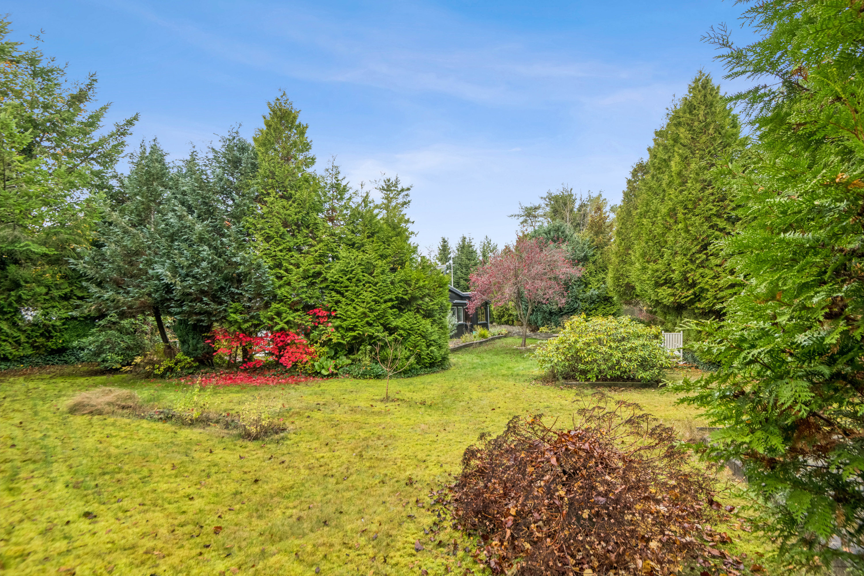 Fremhævet have billede i fuldskærmstilstand. Billede af Nørholmsvej 324, 9000 Aalborg