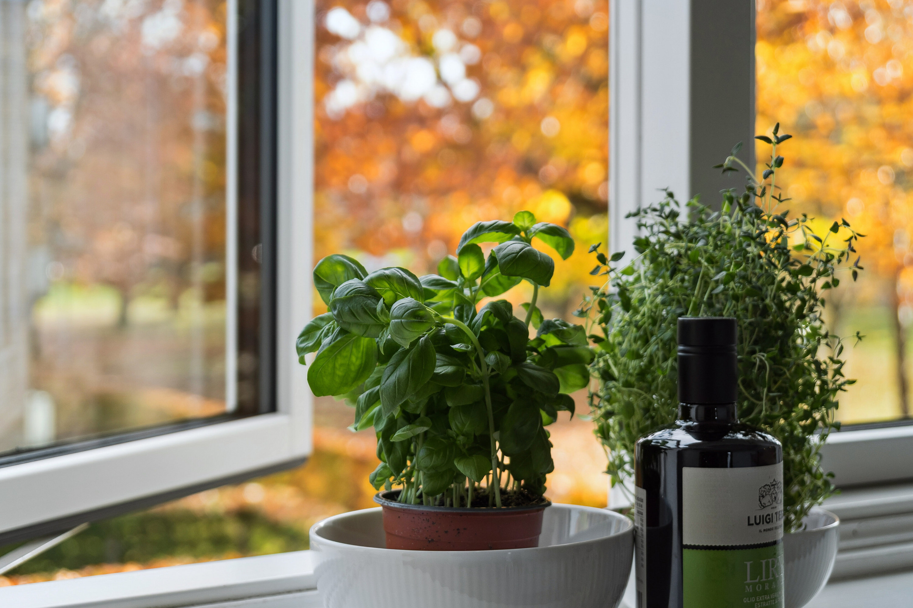 Fremhævet udsigt billede i fuldskærmstilstand. Billede af Frederiksdalsvej 105E, 1. th., 2830 Virum