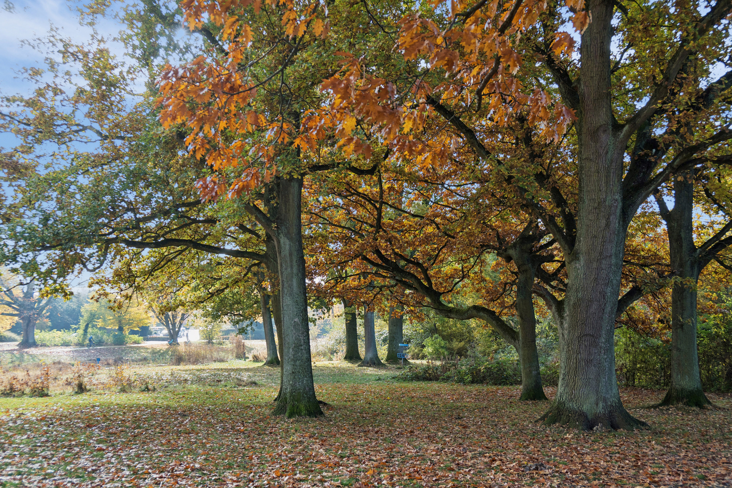 Fremhævet udendørs billede i fuldskærmstilstand. Billede af Frederiksdalsvej 105E, 1. th., 2830 Virum