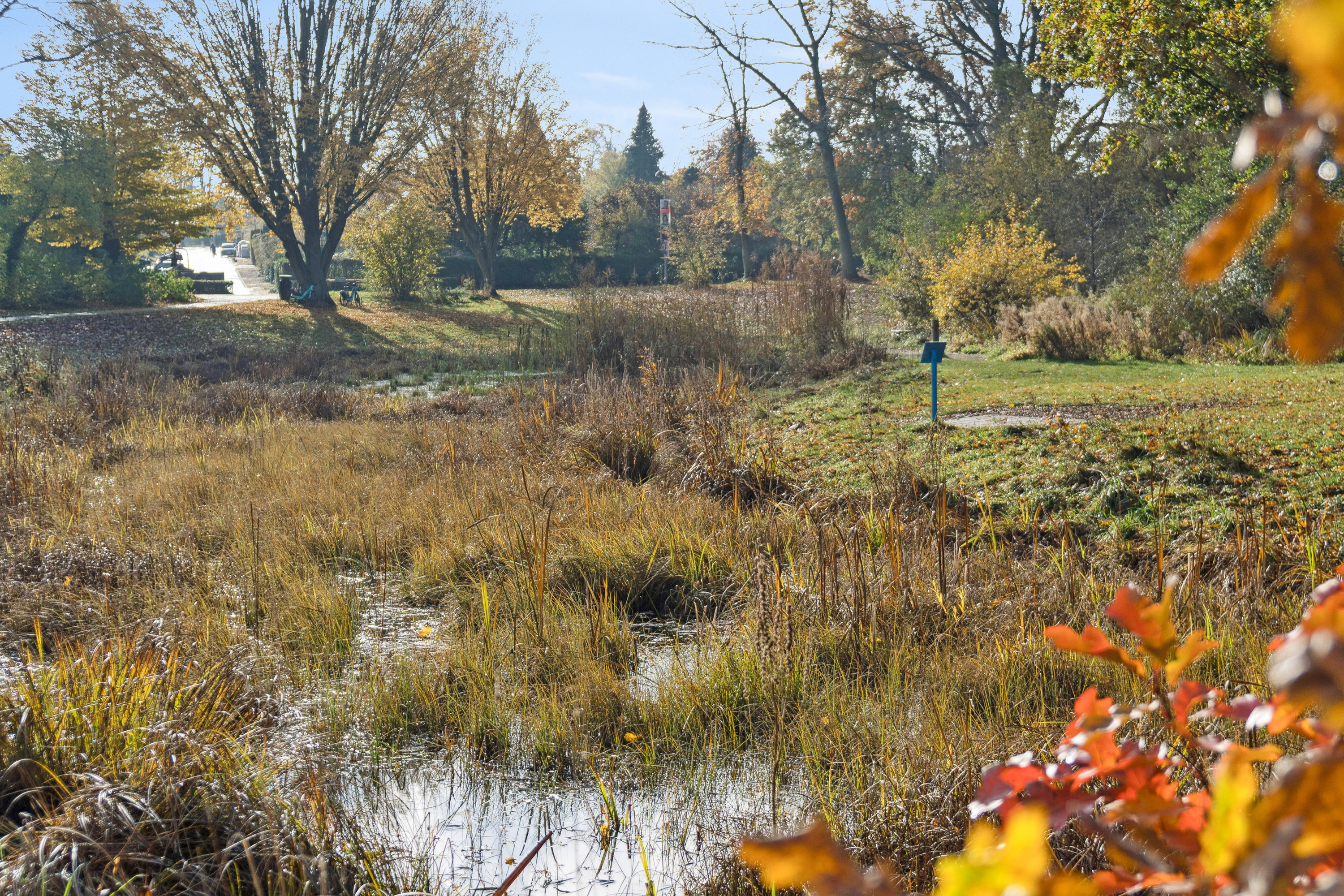 Fremhævet udsigt billede i fuldskærmstilstand. Billede af Frederiksdalsvej 105E, 1. th., 2830 Virum