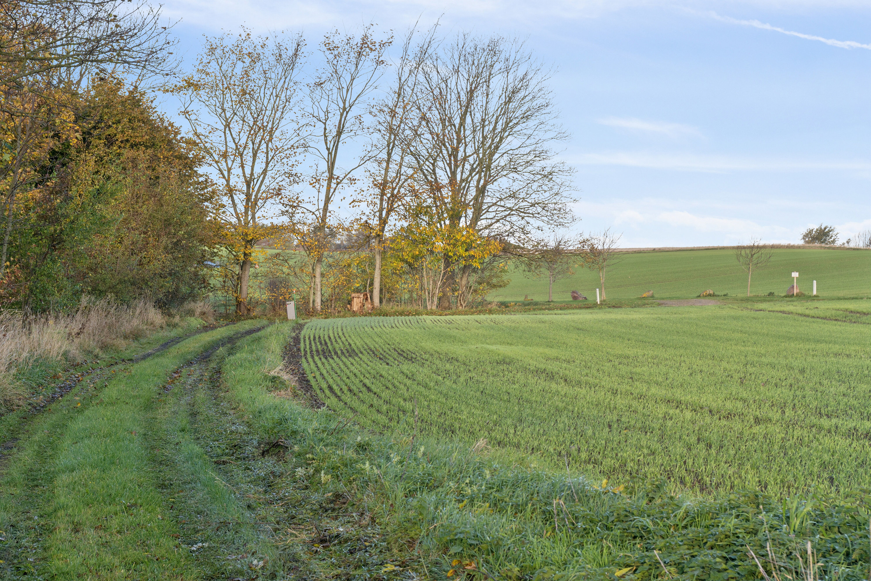Fremhævet have billede i fuldskærmstilstand. Billede af Lillesøvej 6, 4400 Kalundborg