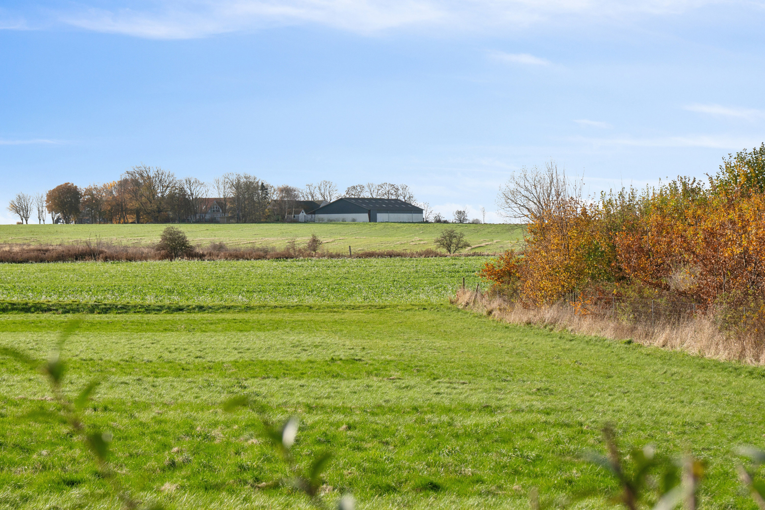 Fremhævet udsigt billede i fuldskærmstilstand. Billede af Bildsøvej 4, Bildsø, 4200 Slagelse