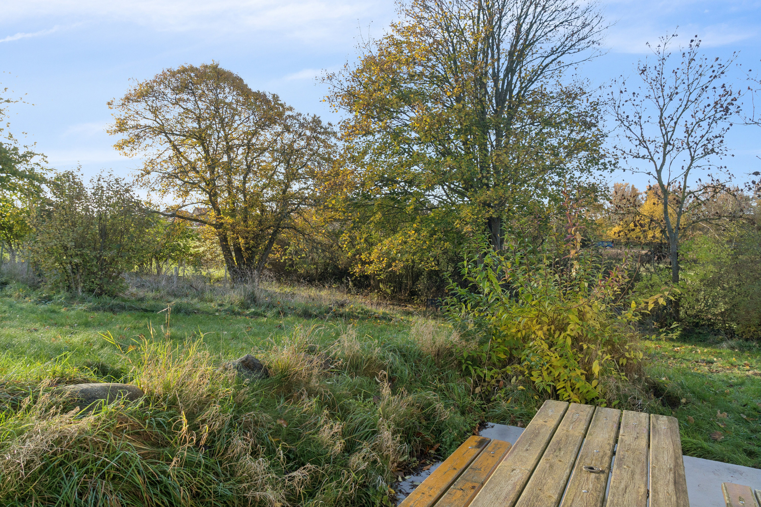 Fremhævet have billede i fuldskærmstilstand. Billede af Lillesøvej 6, 4400 Kalundborg