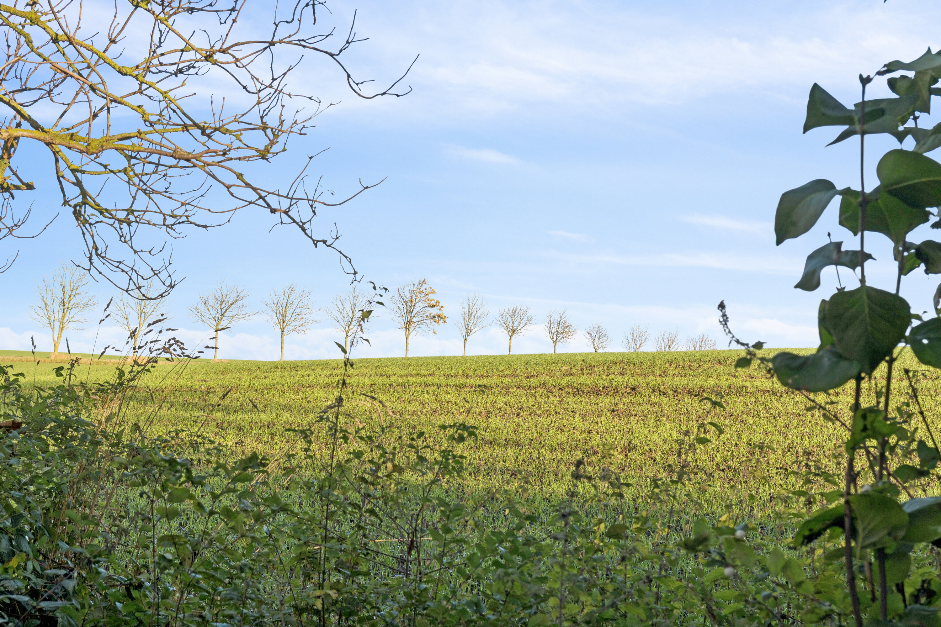 Fremhævet udsigt billede i fuldskærmstilstand. Billede af Lillesøvej 6, 4400 Kalundborg