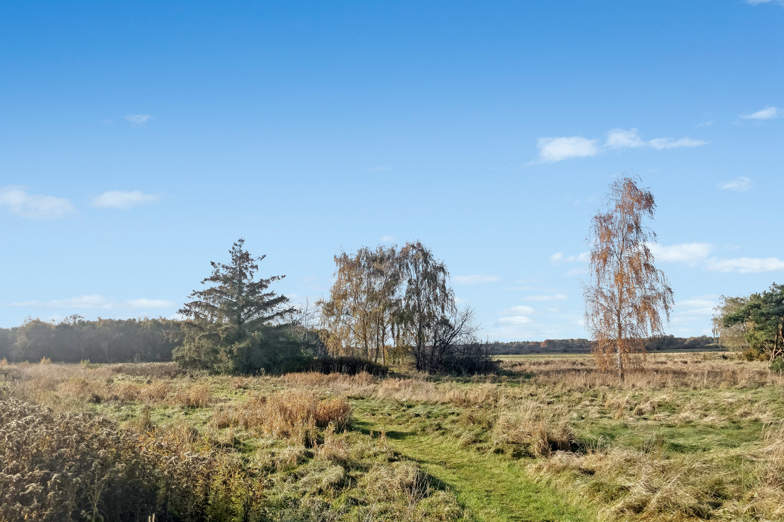 Fremhævet omgivelser billede i fuldskærmstilstand. Billede af Toftholmsvej 18, 2690 Karlslunde