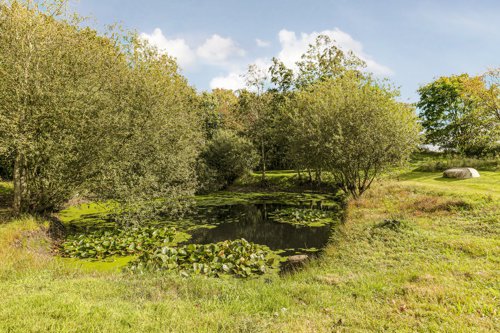 Fremhævet grund billede i fuldskærmstilstand. Billede af Puggårdsvej 17, Sejstrup, 6740 Bramming