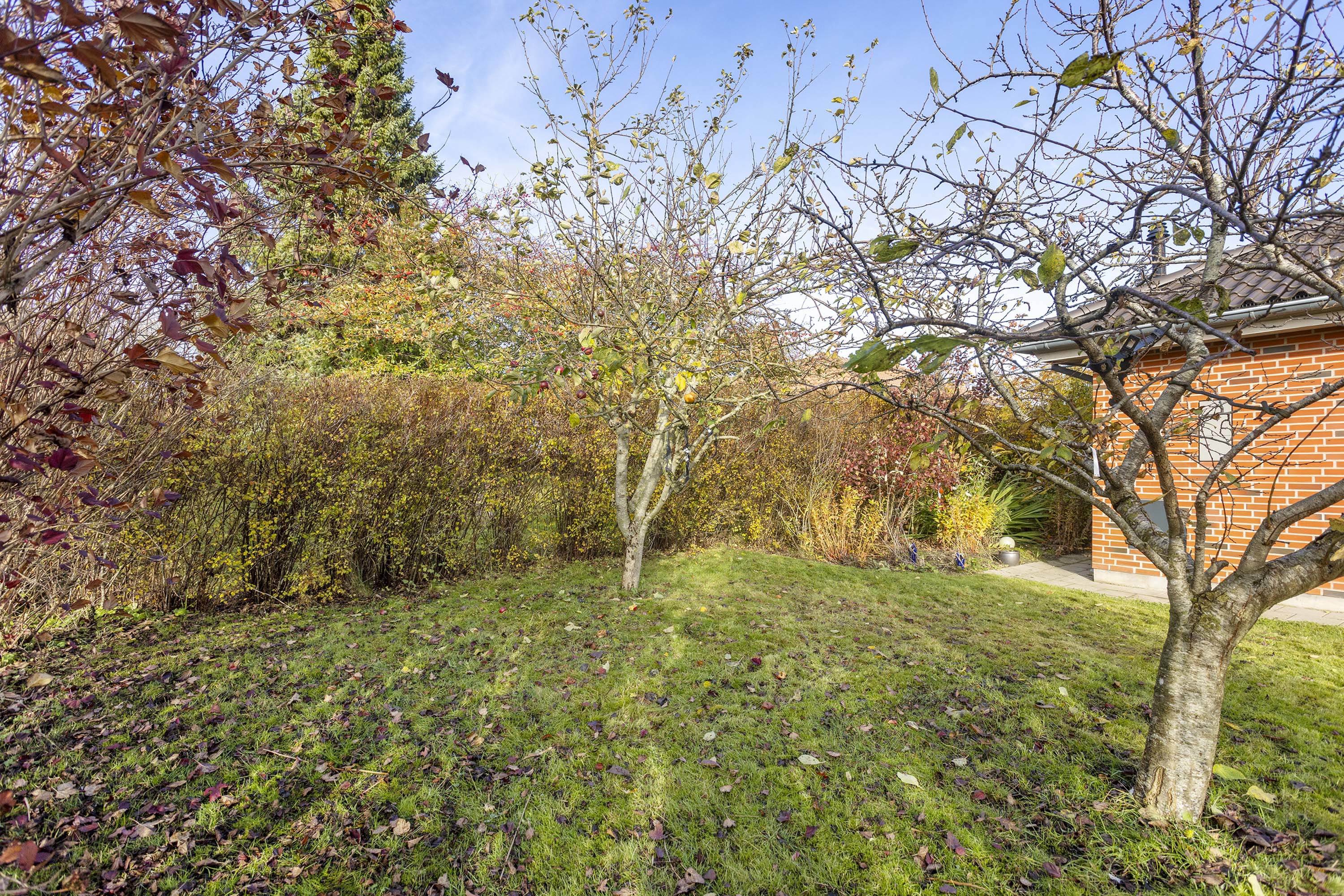 Fremhævet have billede i fuldskærmstilstand. Billede af Rigelvej 22, Kilden, 9900 Frederikshavn