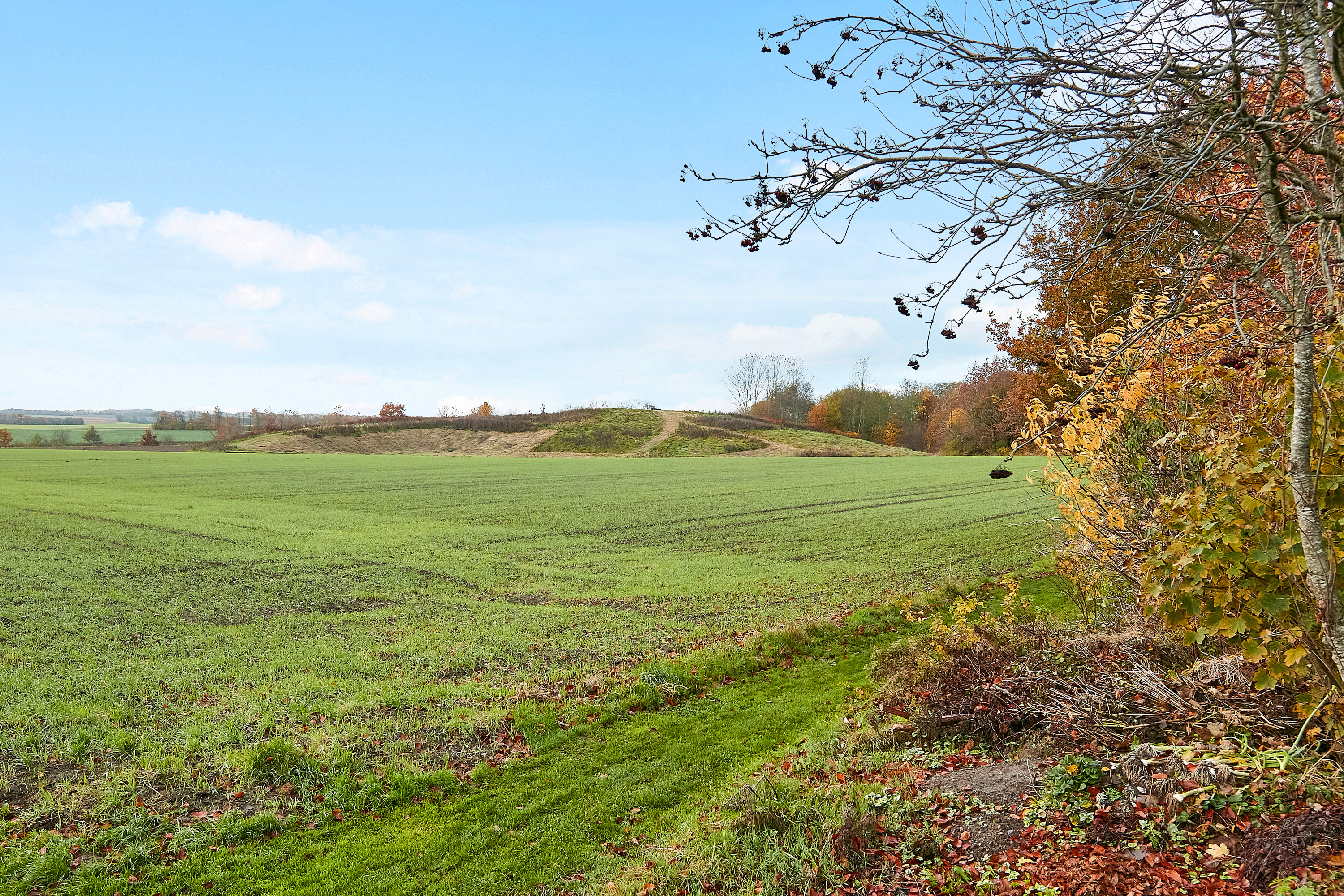 Fremhævet område billede i fuldskærmstilstand. Billede af Bakkegårdsparken 4, 7171 Uldum