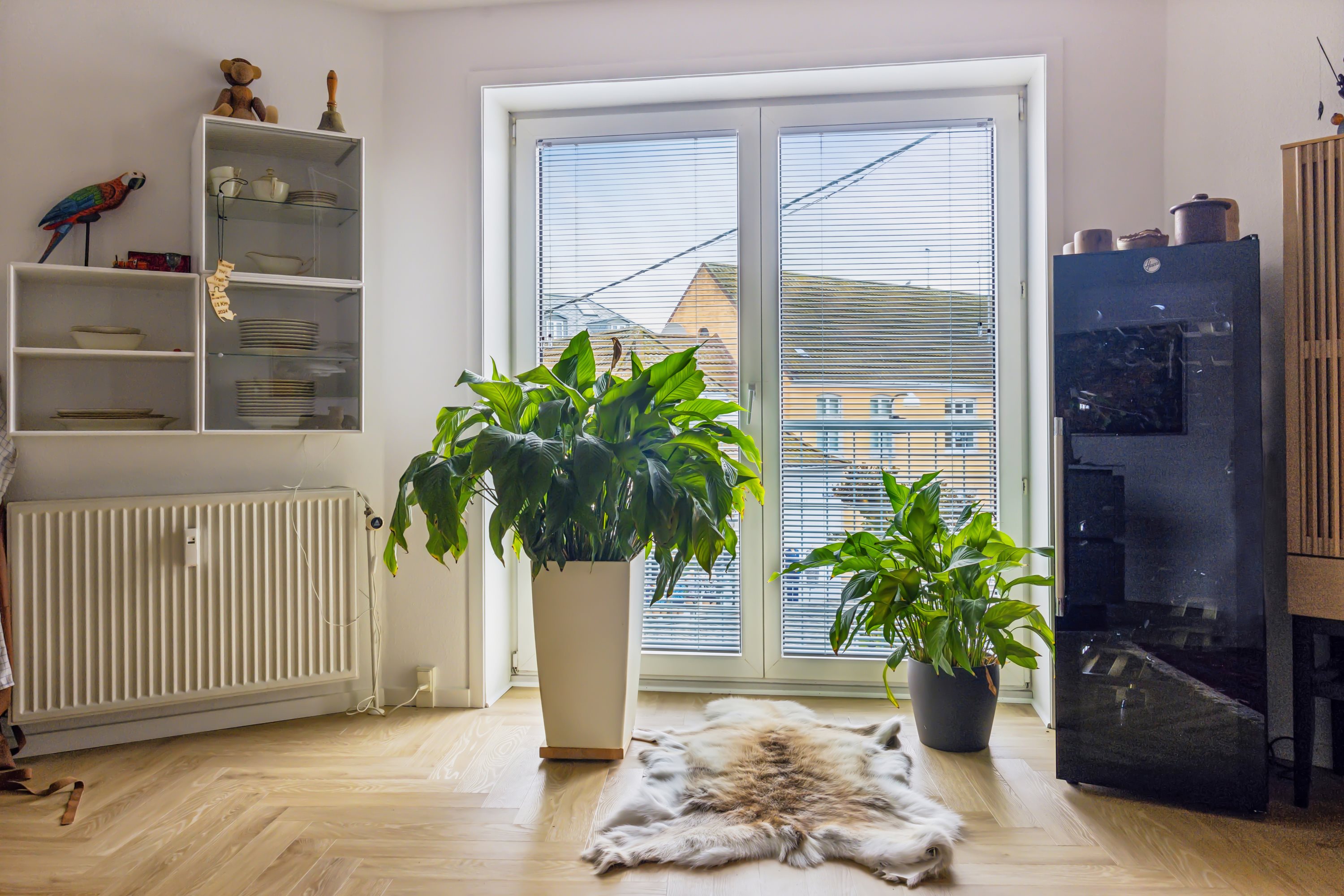 Fremhævet stue billede i fuldskærmstilstand. Billede af Vestergade 1, 1. tv., 9500 Hobro