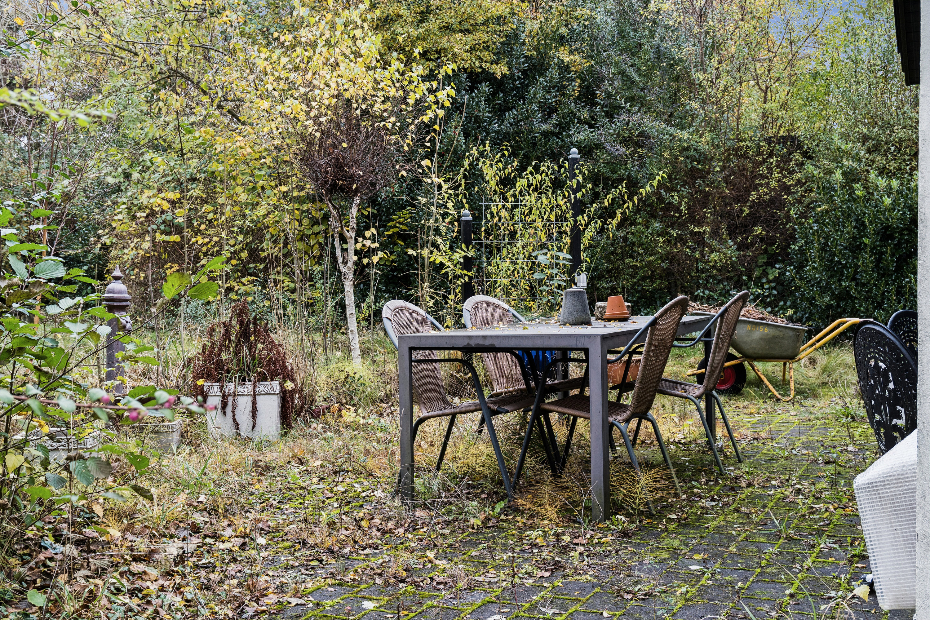 Fremhævet terrasse billede i fuldskærmstilstand. Billede af To-Bjerg 156, Uglerup, 4300 Holbæk