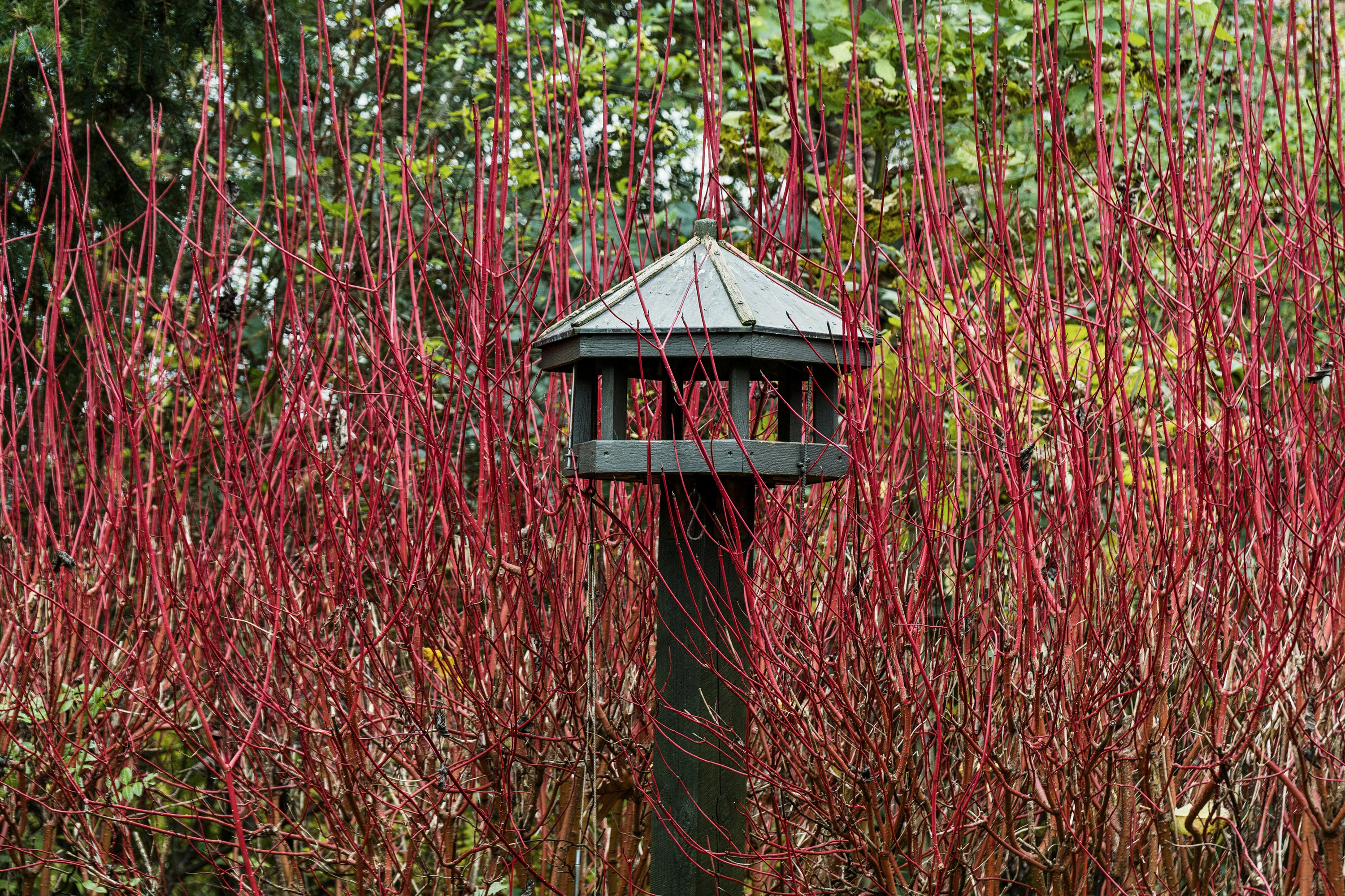 Fremhævet udendørs billede i fuldskærmstilstand. Billede af To-Bjerg 156, Uglerup, 4300 Holbæk