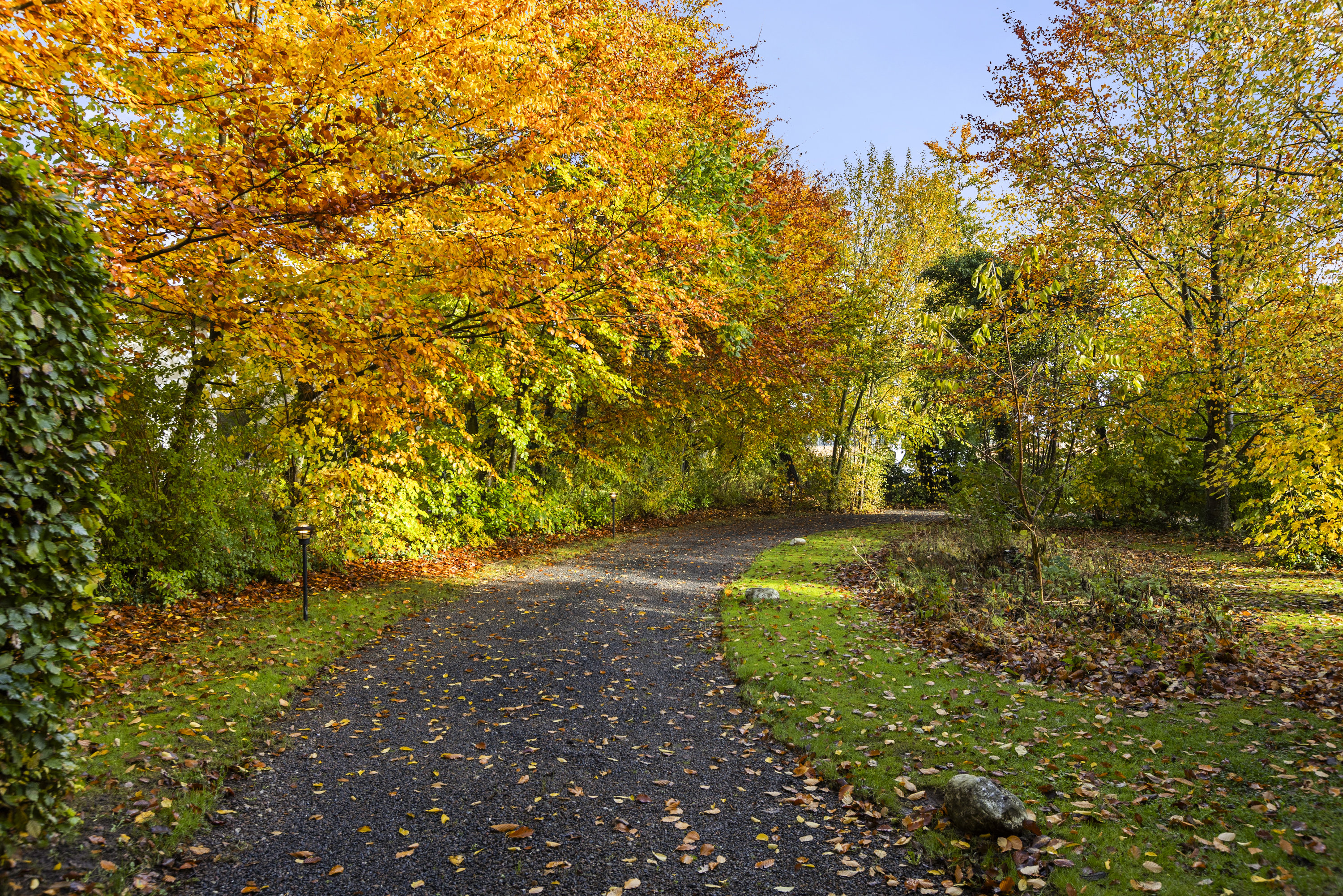 Fremhævet indkørsel billede i fuldskærmstilstand. Billede af Rønnebærvej 6, 4293 Dianalund