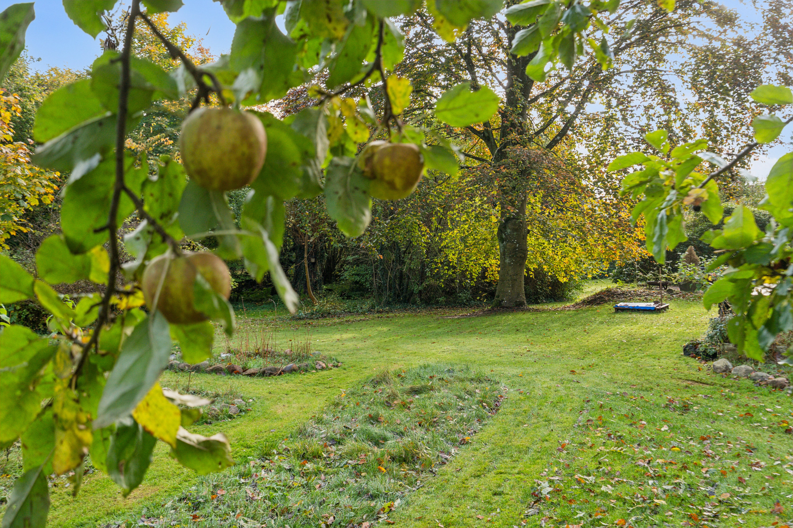 Fremhævet have billede i fuldskærmstilstand. Billede af Vinkelvej 17, Kollund, 6340 Kruså