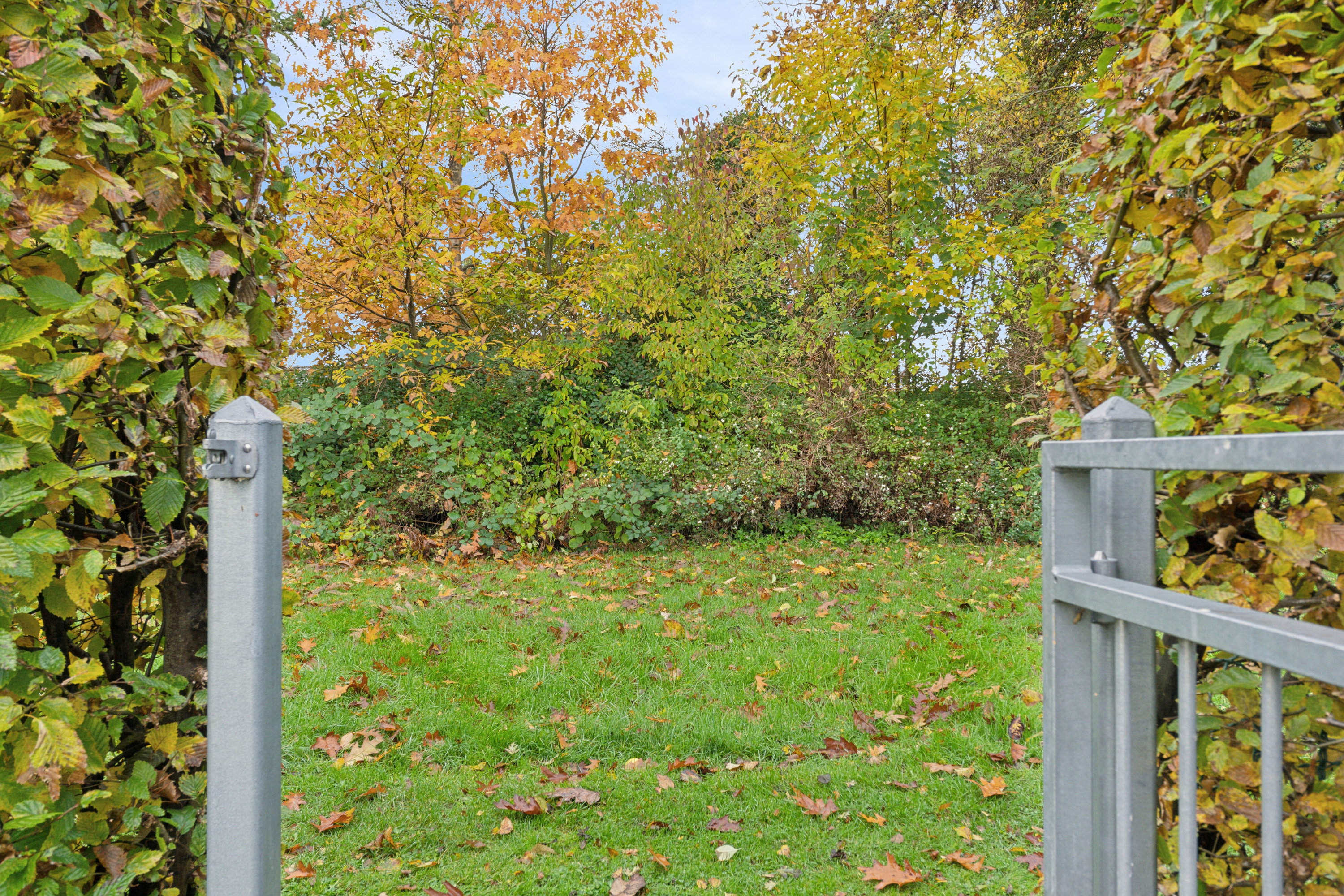 Fremhævet udendørs billede i fuldskærmstilstand. Billede af Arreskovvænget 20, 5230 Odense M