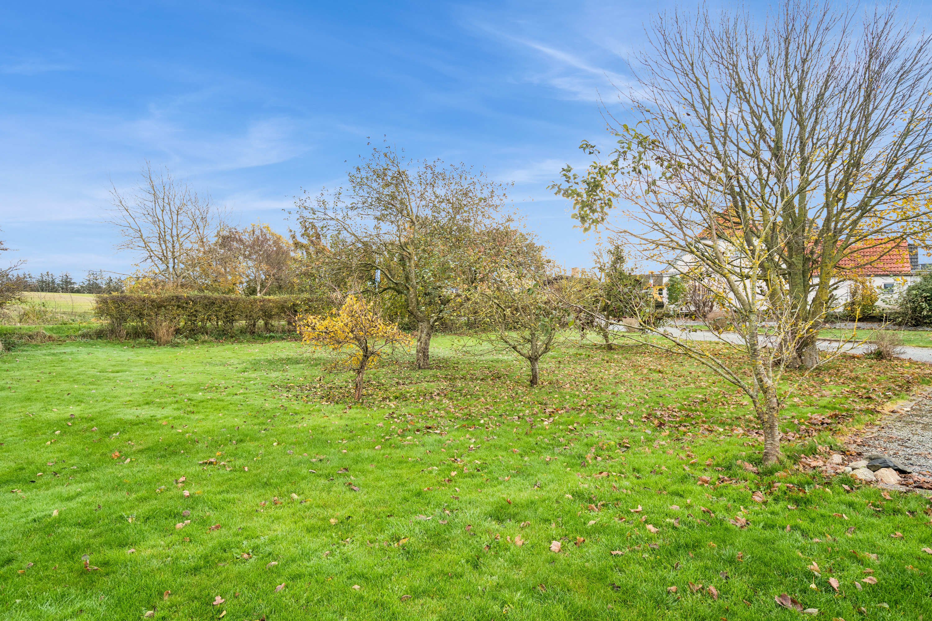 Fremhævet have billede i fuldskærmstilstand. Billede af Allingdamvej 100, Asdal, 9850 Hirtshals