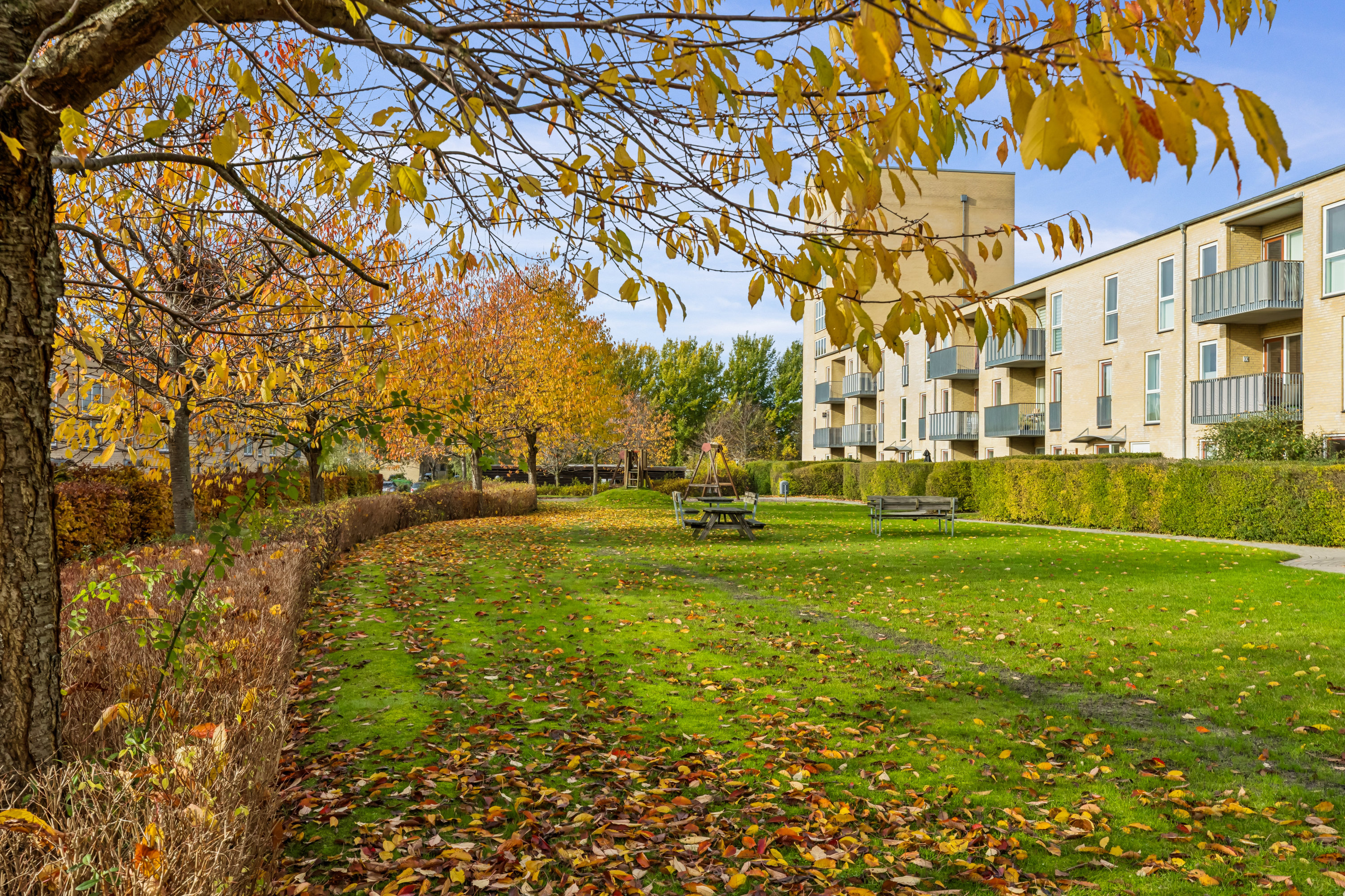 Fremhævet andet billede i fuldskærmstilstand. Billede af Skjeberg Alle 23, Høje Taastrup, 2630 Taastrup