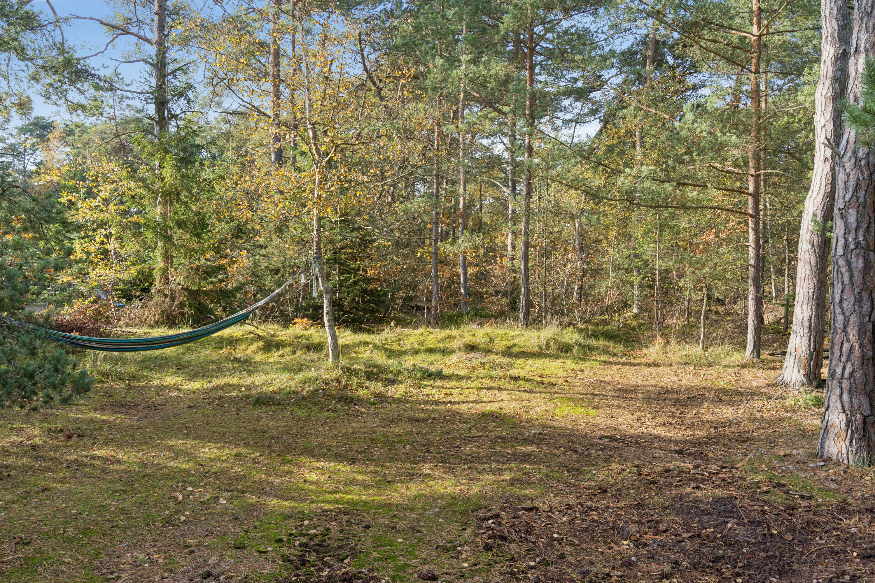 Fremhævet have billede i fuldskærmstilstand. Billede af Vigen 2, Snogebæk, 3730 Nexø